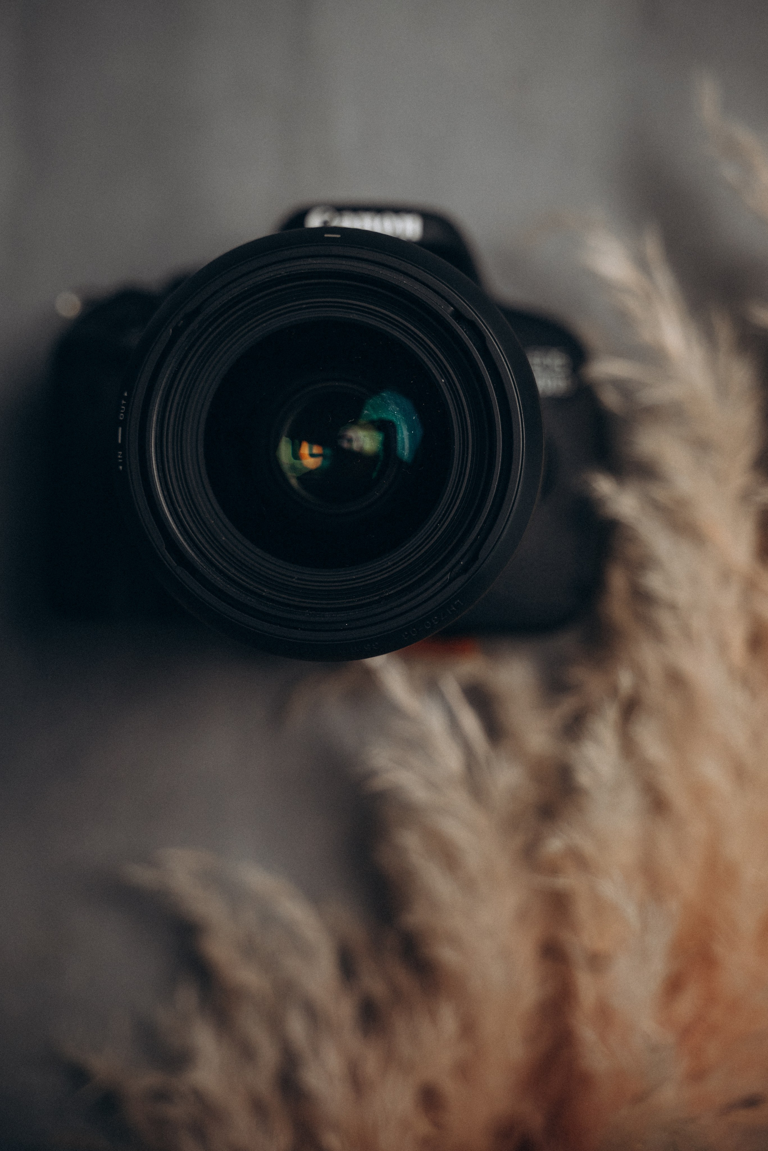 Контент съёмка для Валерии. Семейный фотограф в Минске Дарья Дреко