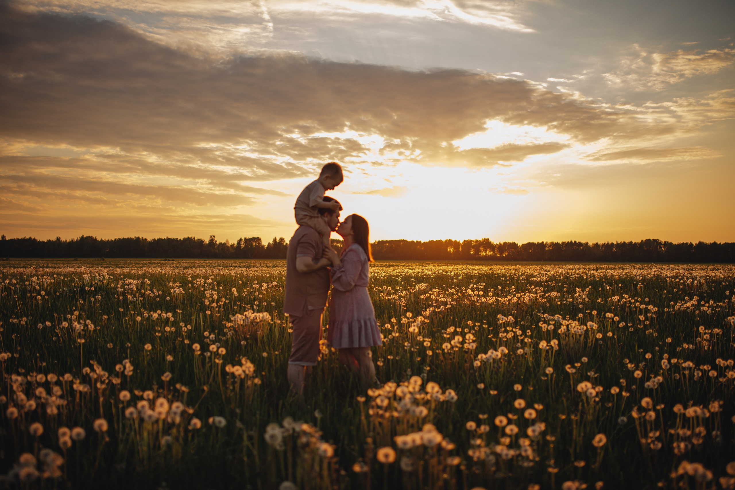 В поле на закате. Фотограф Винокурова Кристина в Санкт-Петербурге