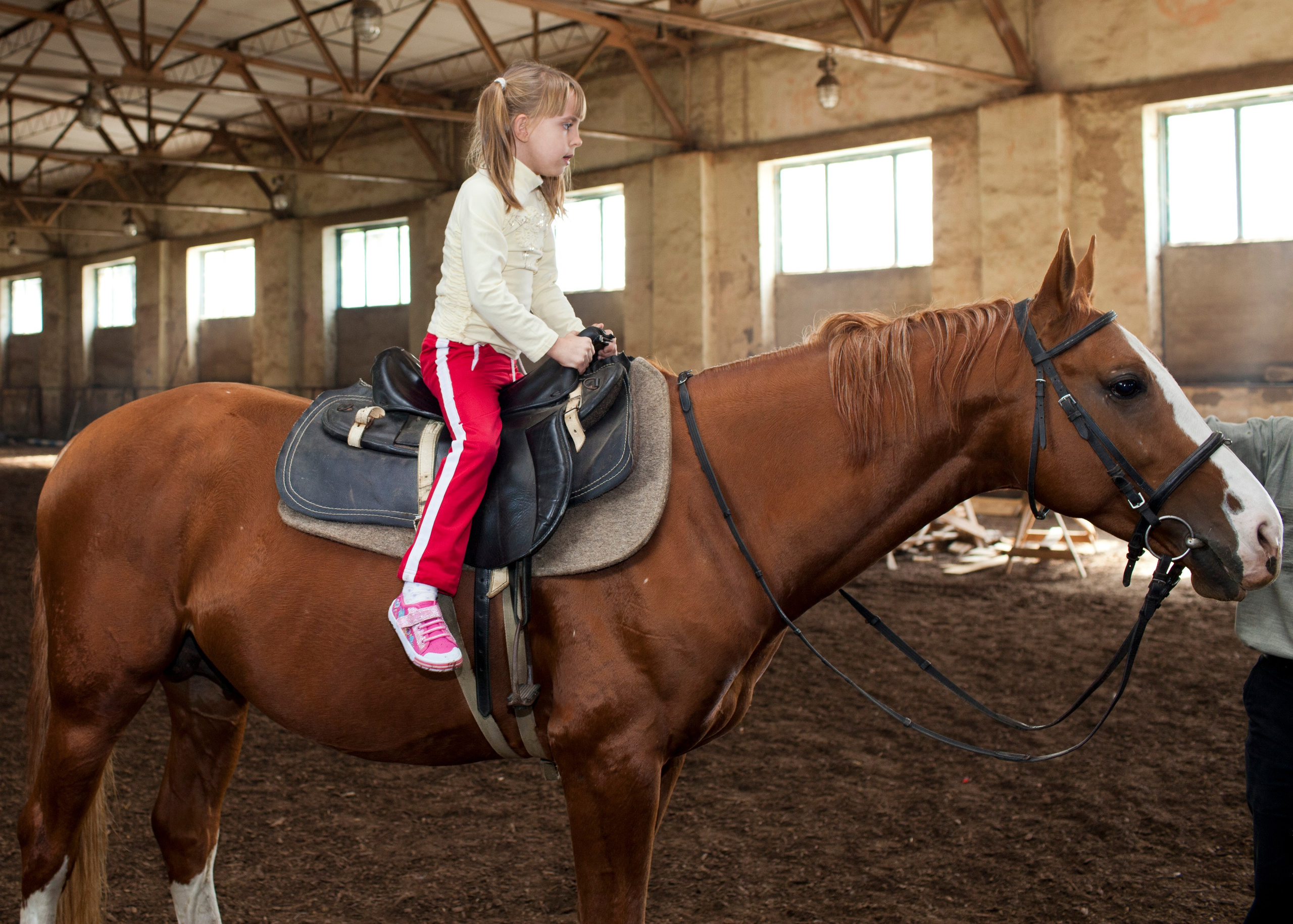 Услуги свадебной, семейной, детской, портретной фотосессии. Медиапродюсер, фотограф в Минеральных Водах —Виктор Холодов