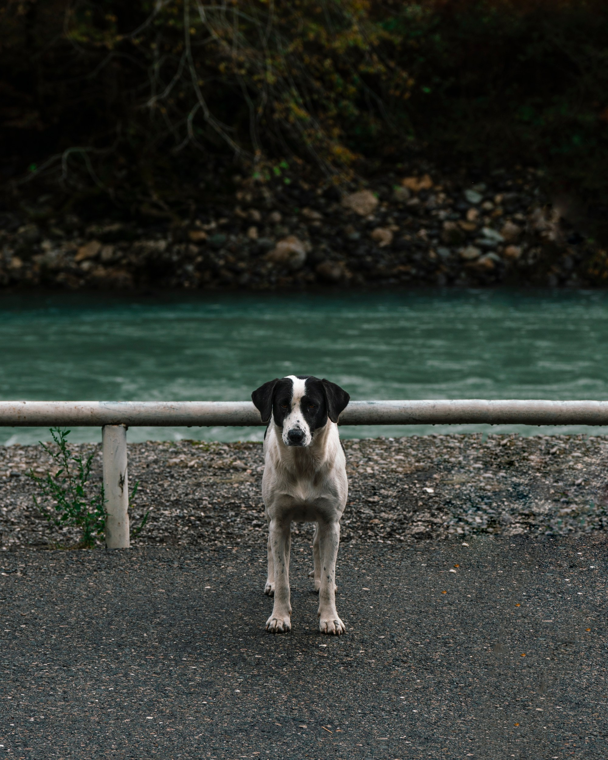 Горы. Андрей Попов | Фотограф Волгоград| Druny_photo