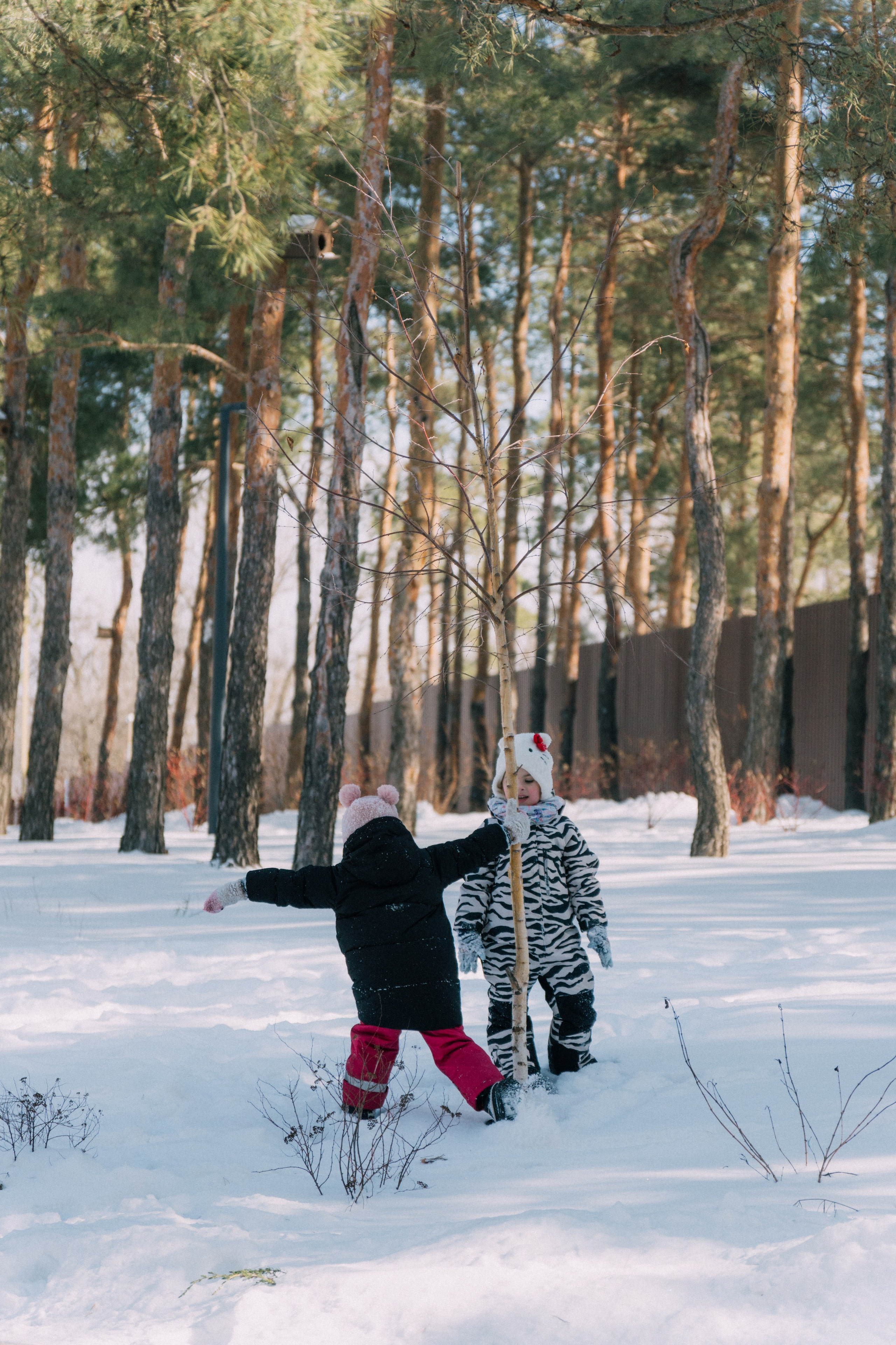 Масленица «Наша Хвоя». Андрей Попов | Фотограф Волгоград| Druny_photo