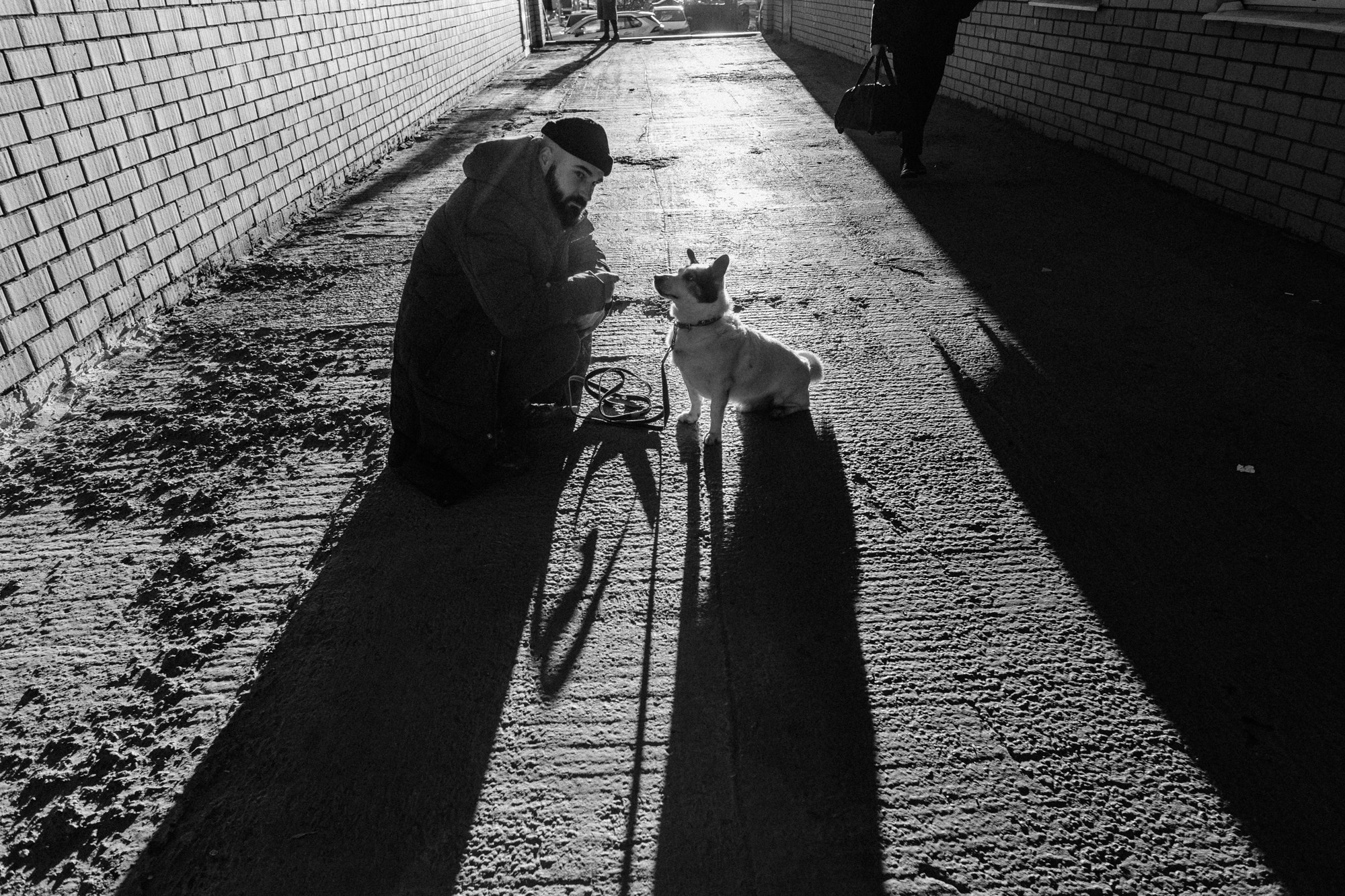 Фотосессия с собакой в Тюмени, фотограф тюмень. Фотограф Дарья Мустафина, Тюмень