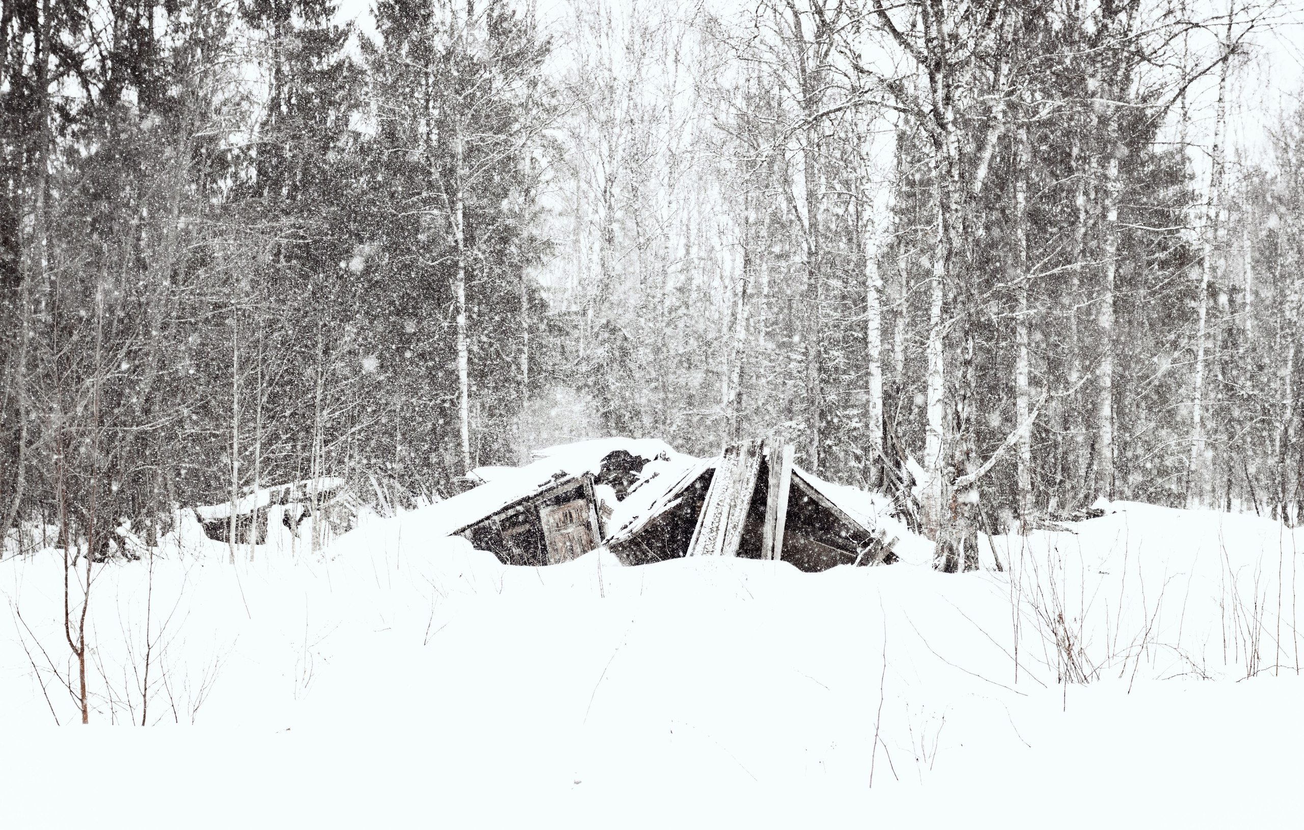 Природа. Фотограф Александр Тихонов