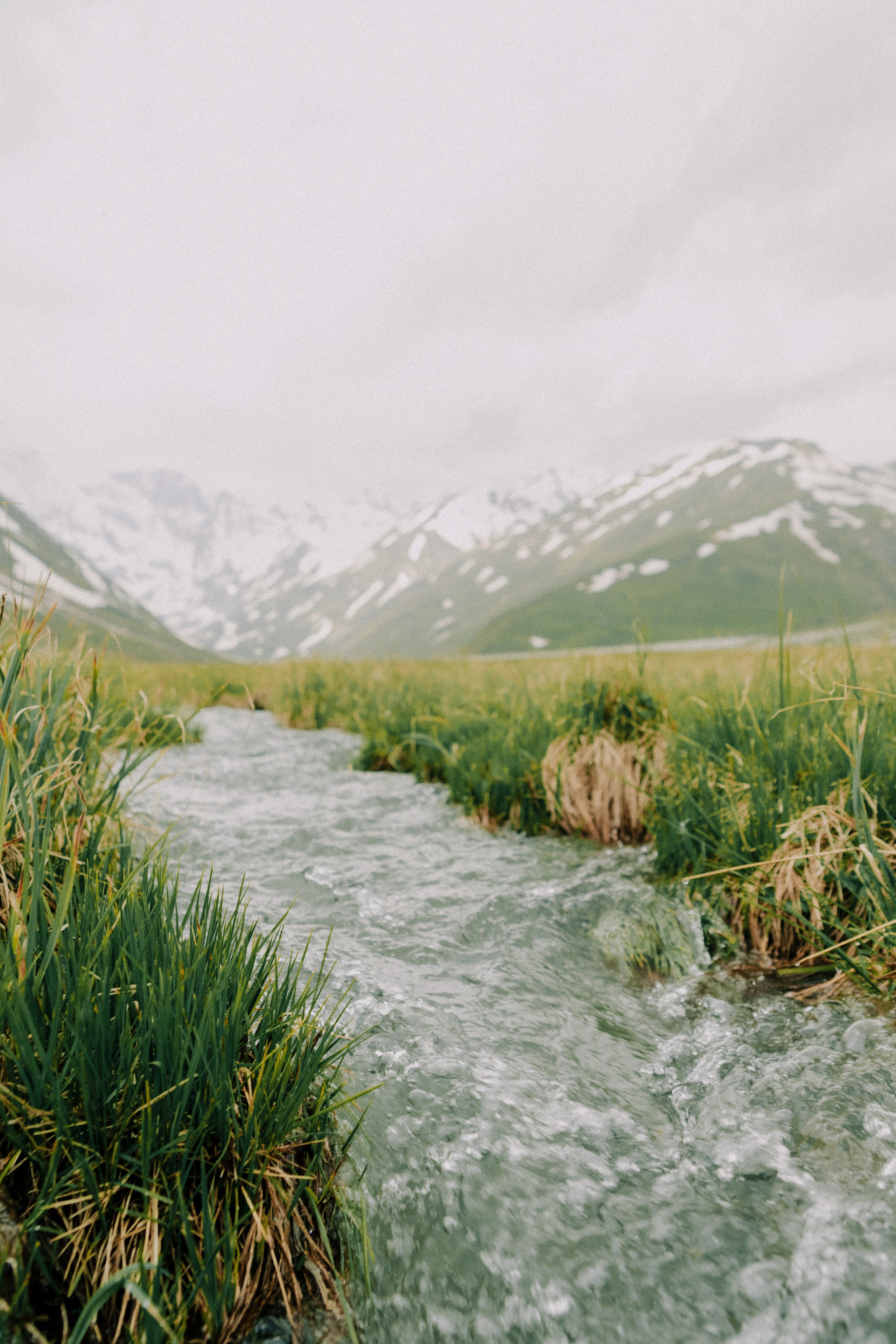 Дигория. Фотограф Санкт-Петербург Макарова Дарья