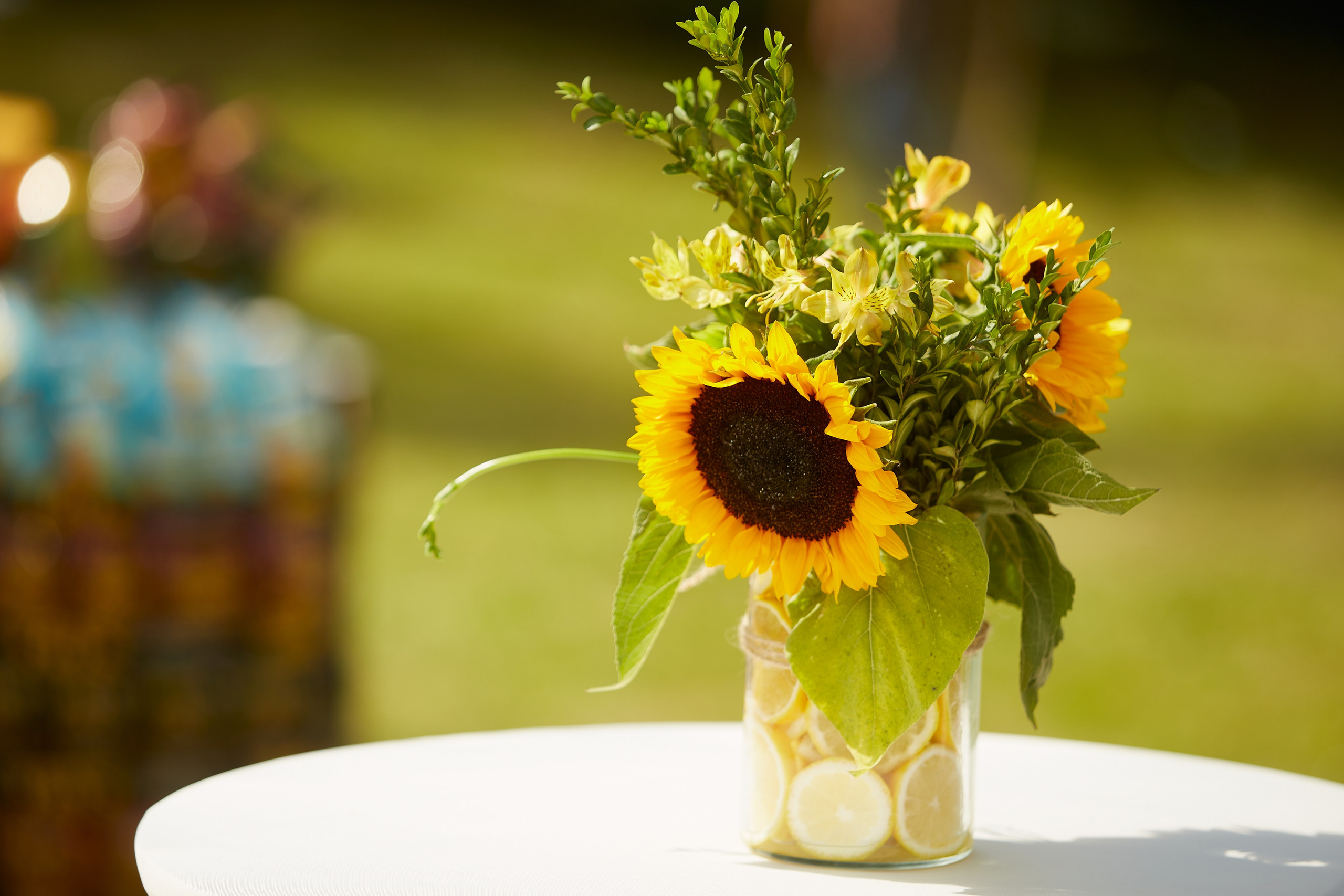 Летняя встреча компании. Свадебный фотограф Москва и Московская область Борисов Сергей