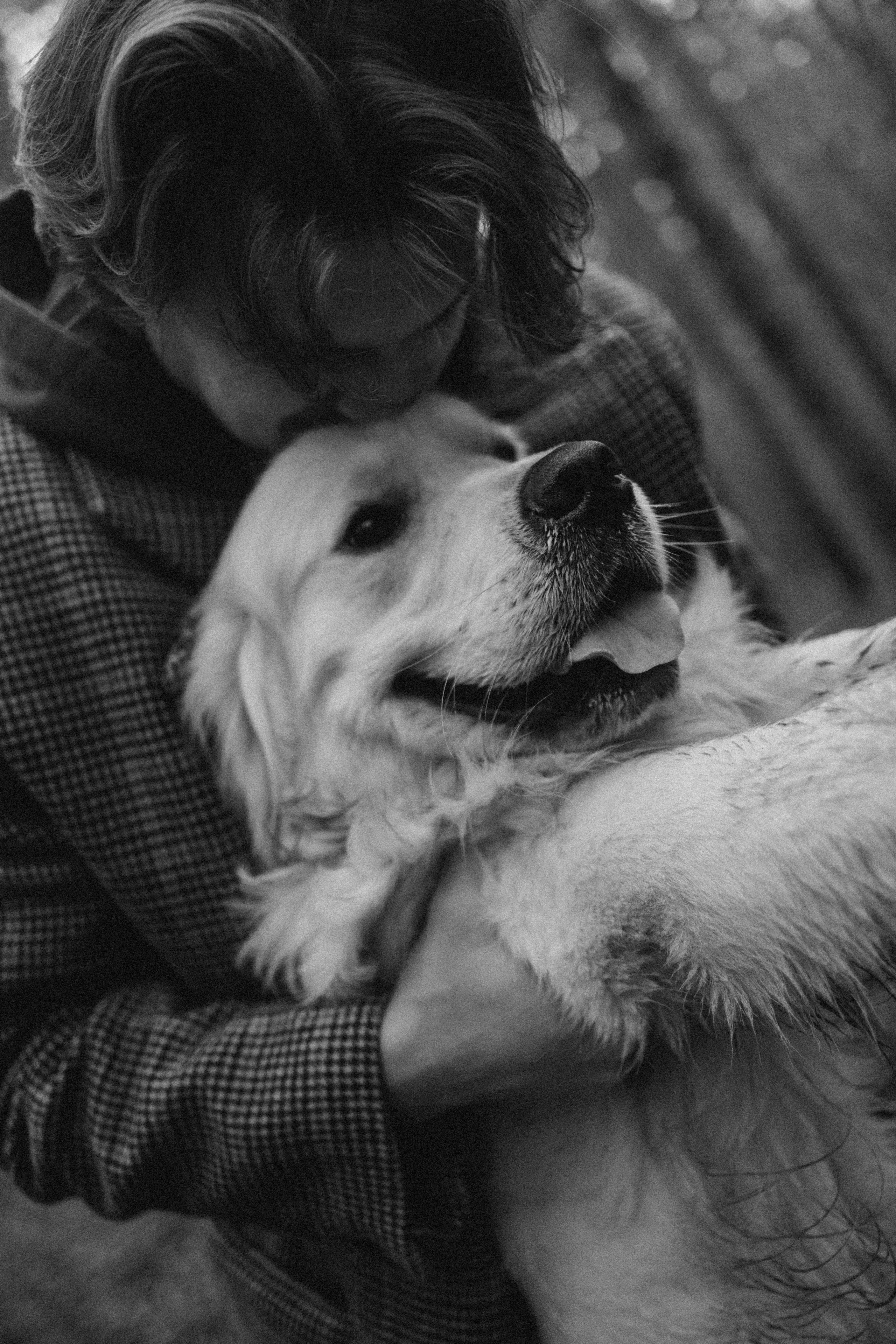 Лаки и его семья. Фотограф — Анималист | Санкт-Петербург