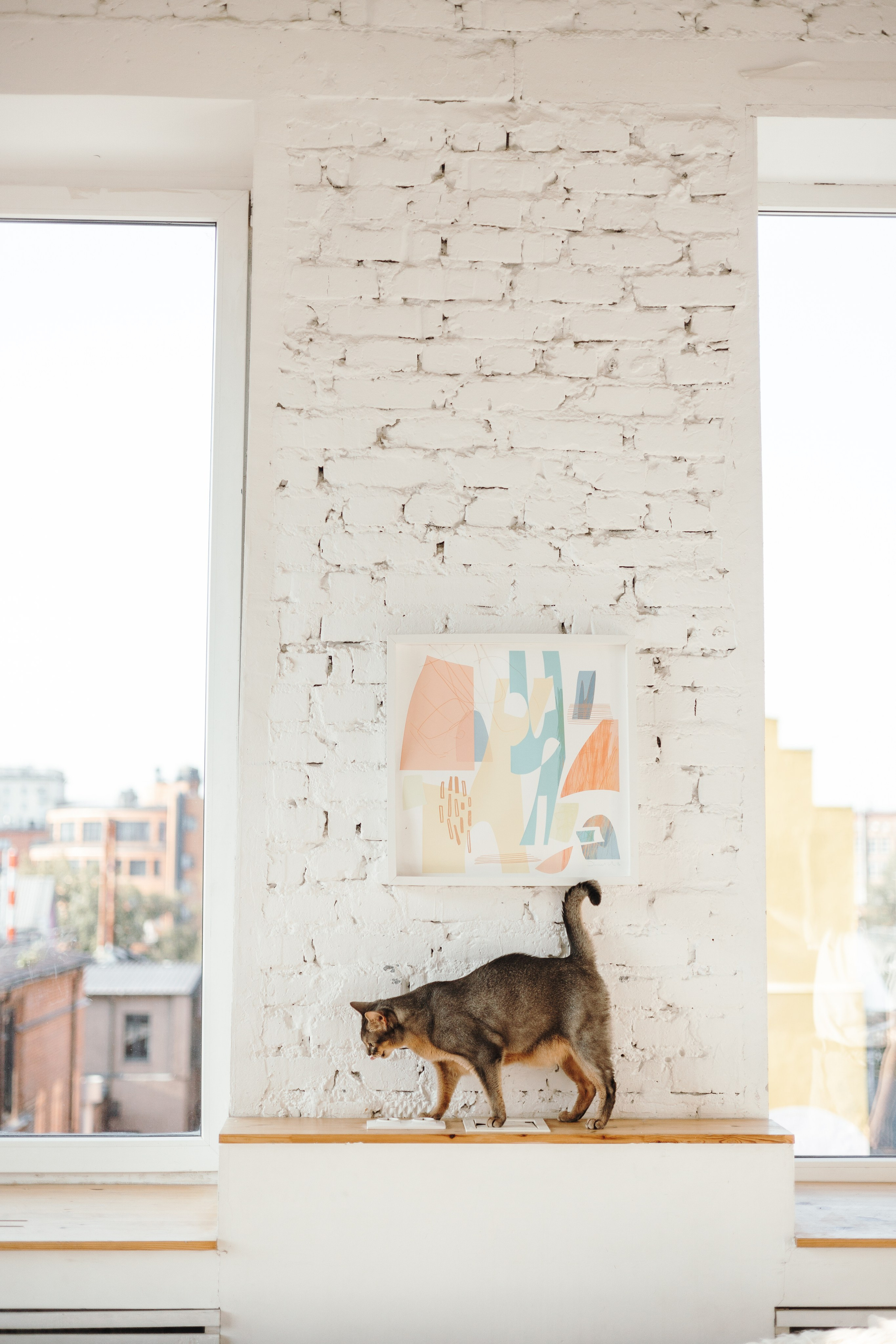 Циско и его семья. Фотограф — Анималист | Санкт-Петербург