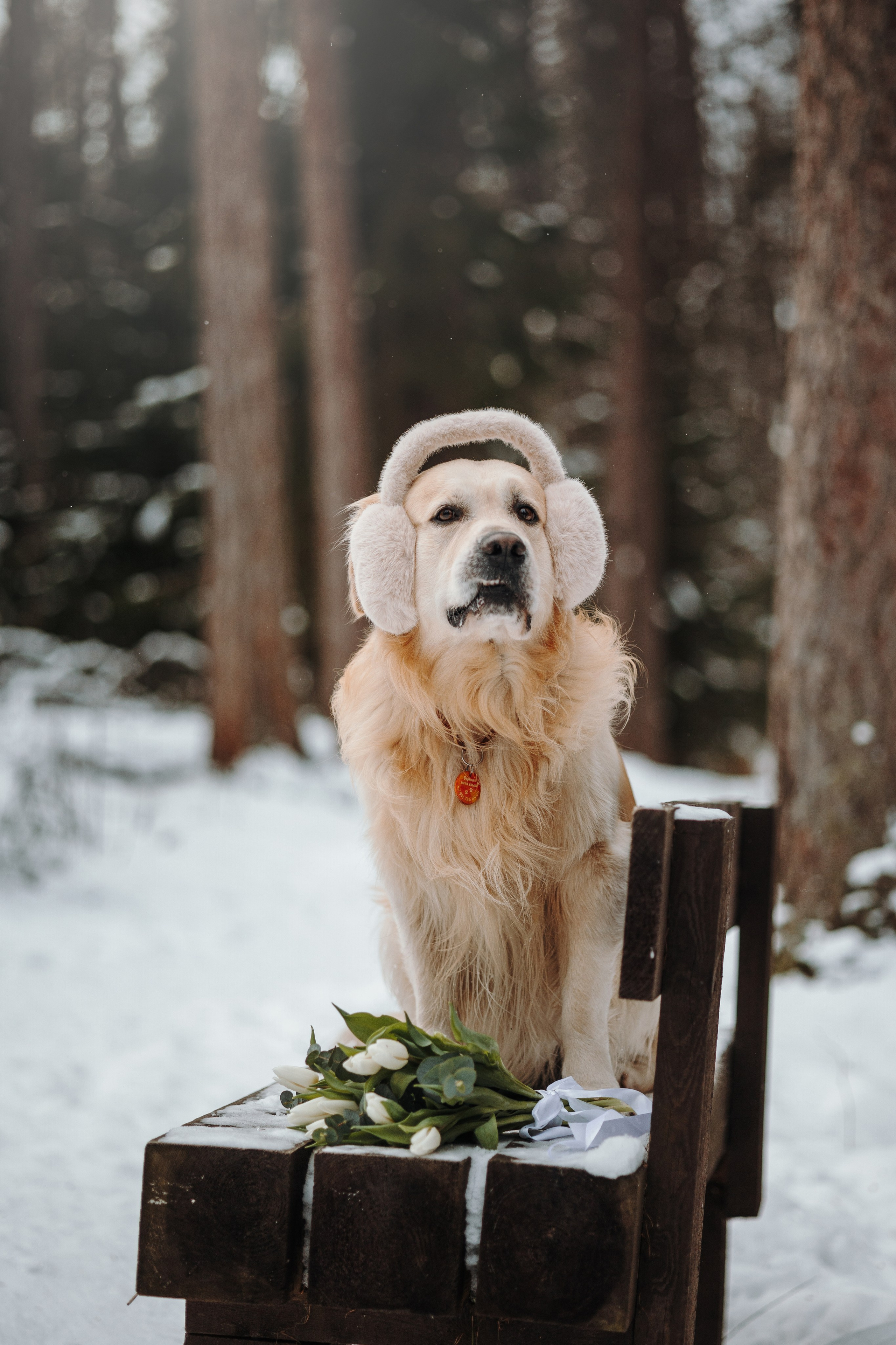 Вика и Лёва. Фотограф — Анималист | Санкт-Петербург