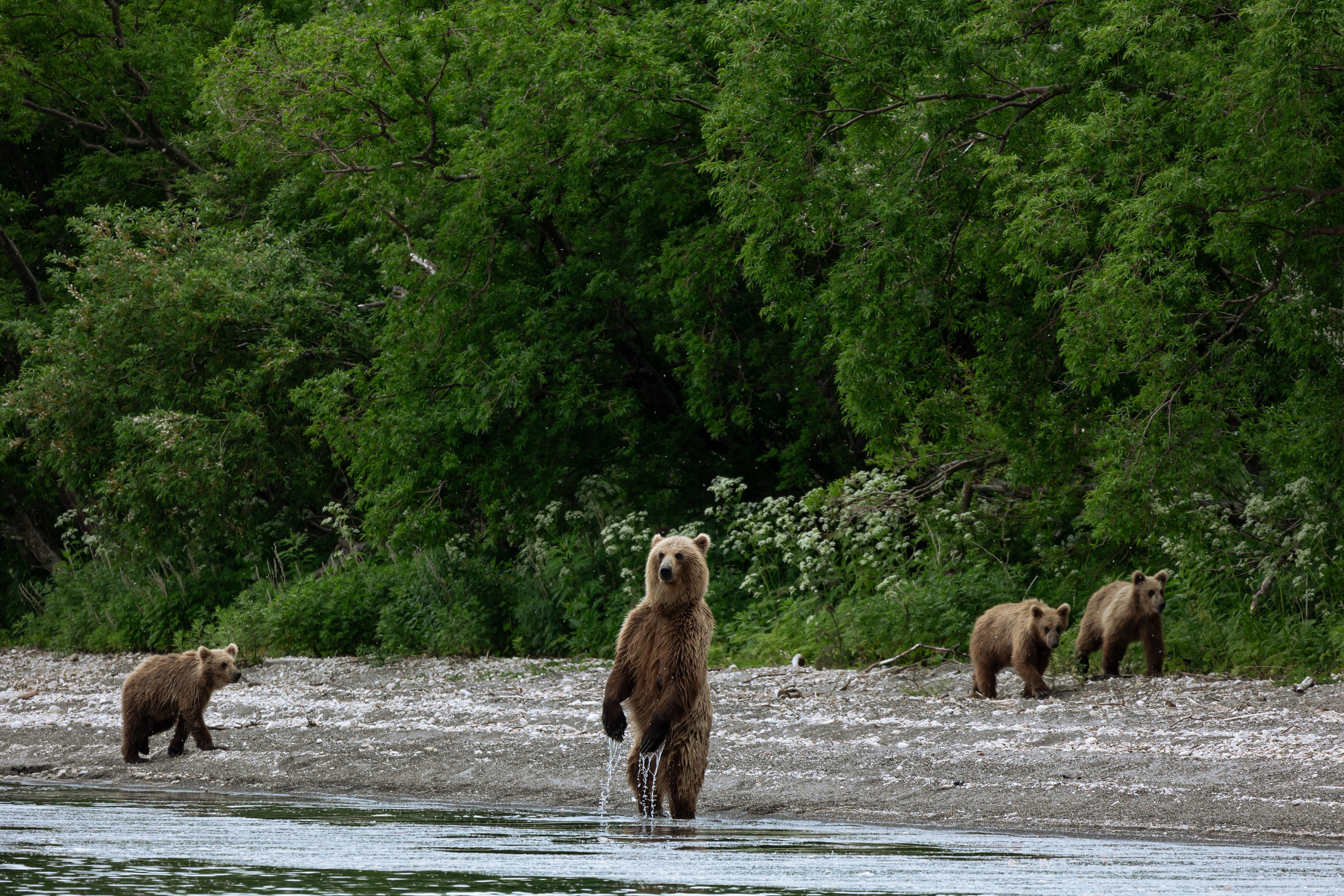 Репортаж туризм. Фотограф на Камчатке