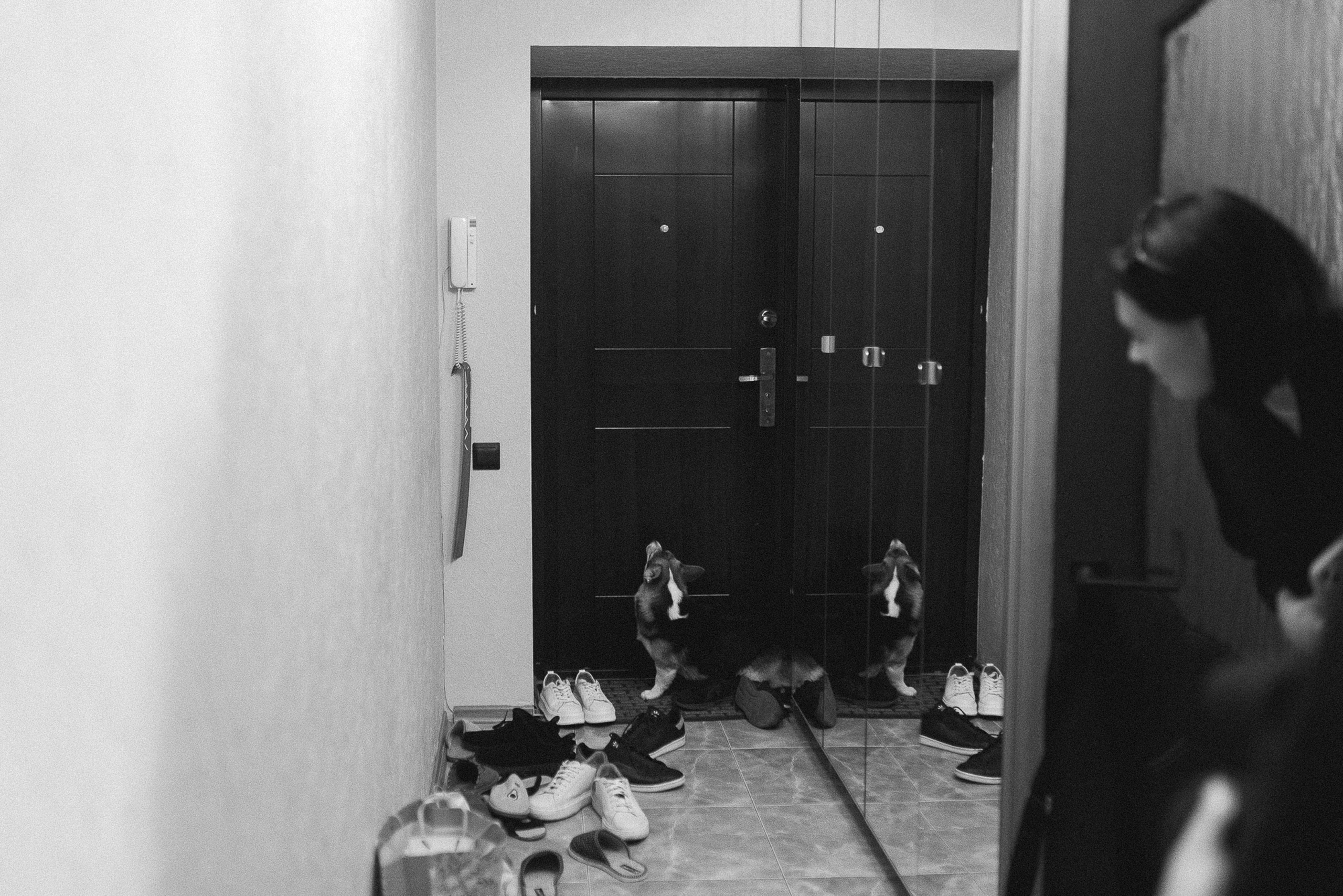 Побеждает любовь (Винодельня Пестиковых). Свадебный фотограф Ольга Ермакович