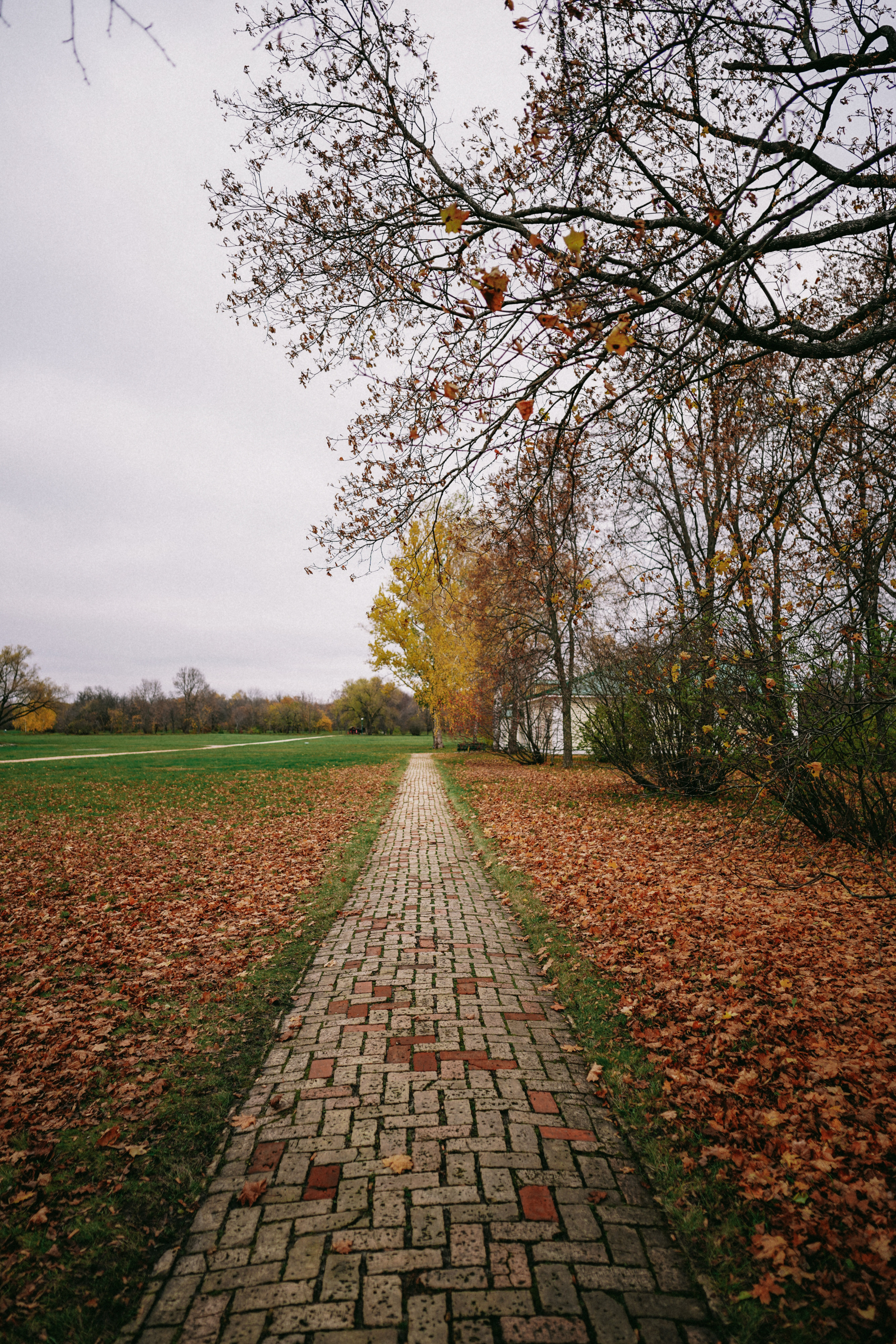 Лермонтово. Свадебный фотограф в Саратове Антон Слепов