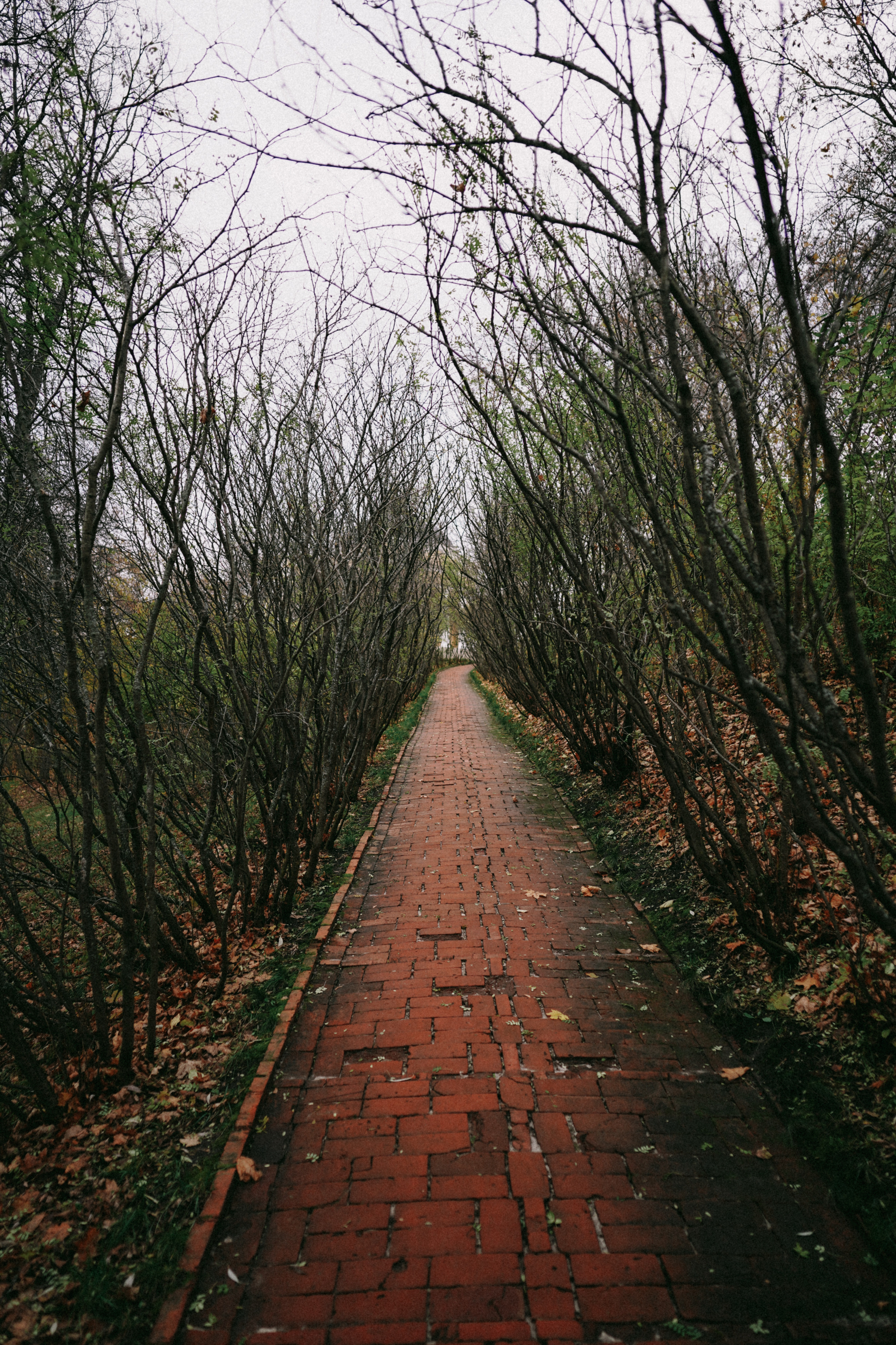 Лермонтово. Свадебный фотограф в Саратове Антон Слепов