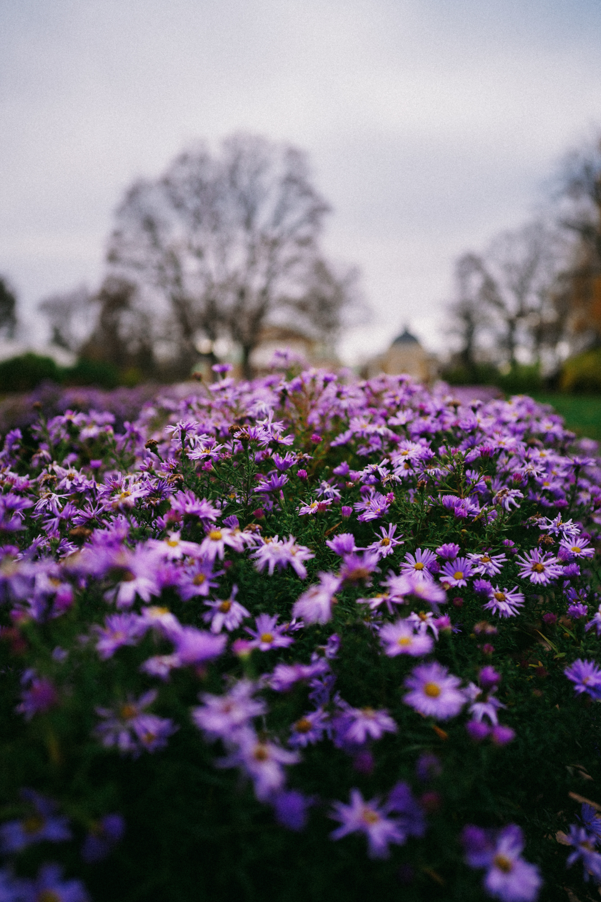 Лермонтово. Свадебный фотограф в Саратове Антон Слепов