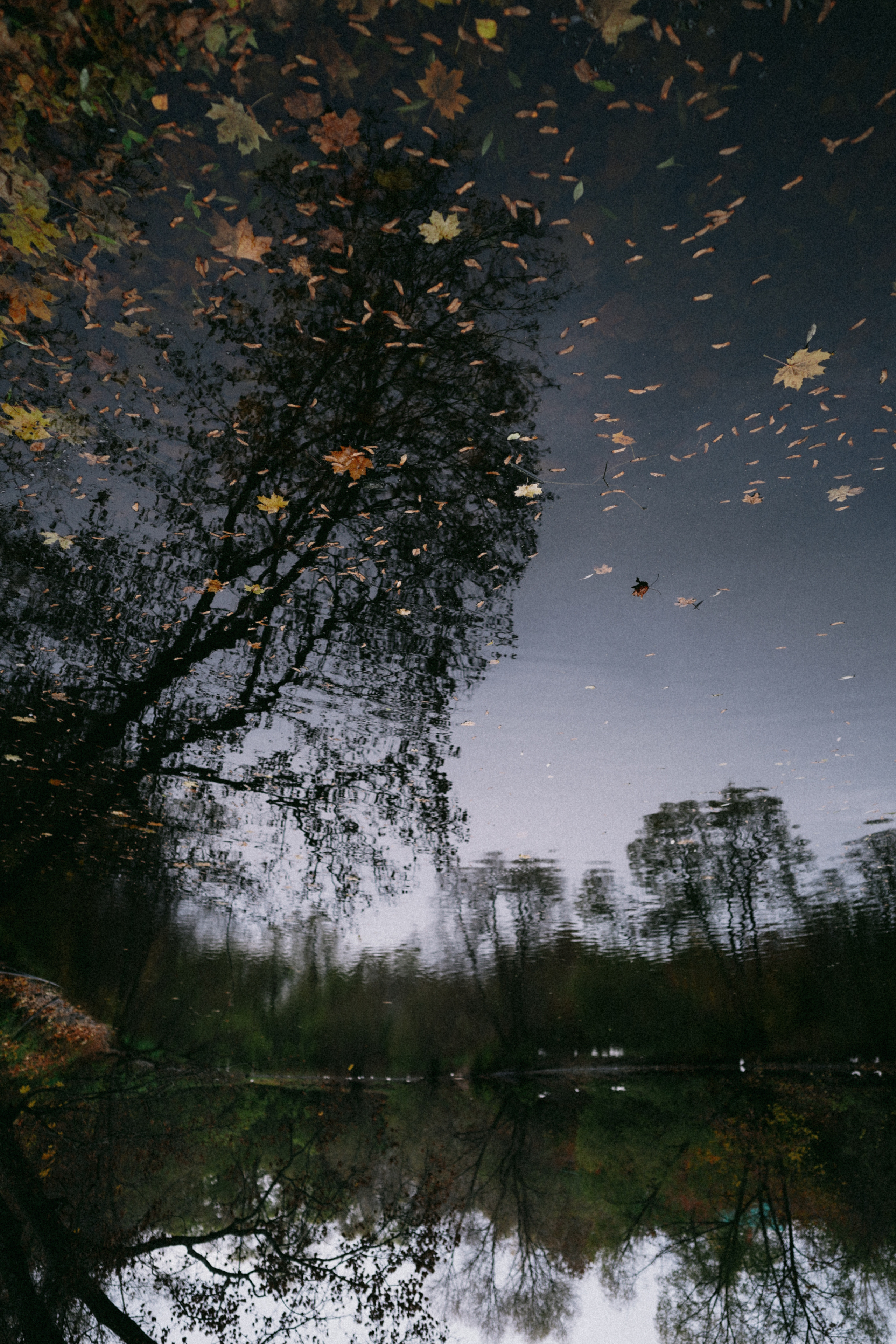 Лермонтово. Свадебный фотограф в Саратове Антон Слепов