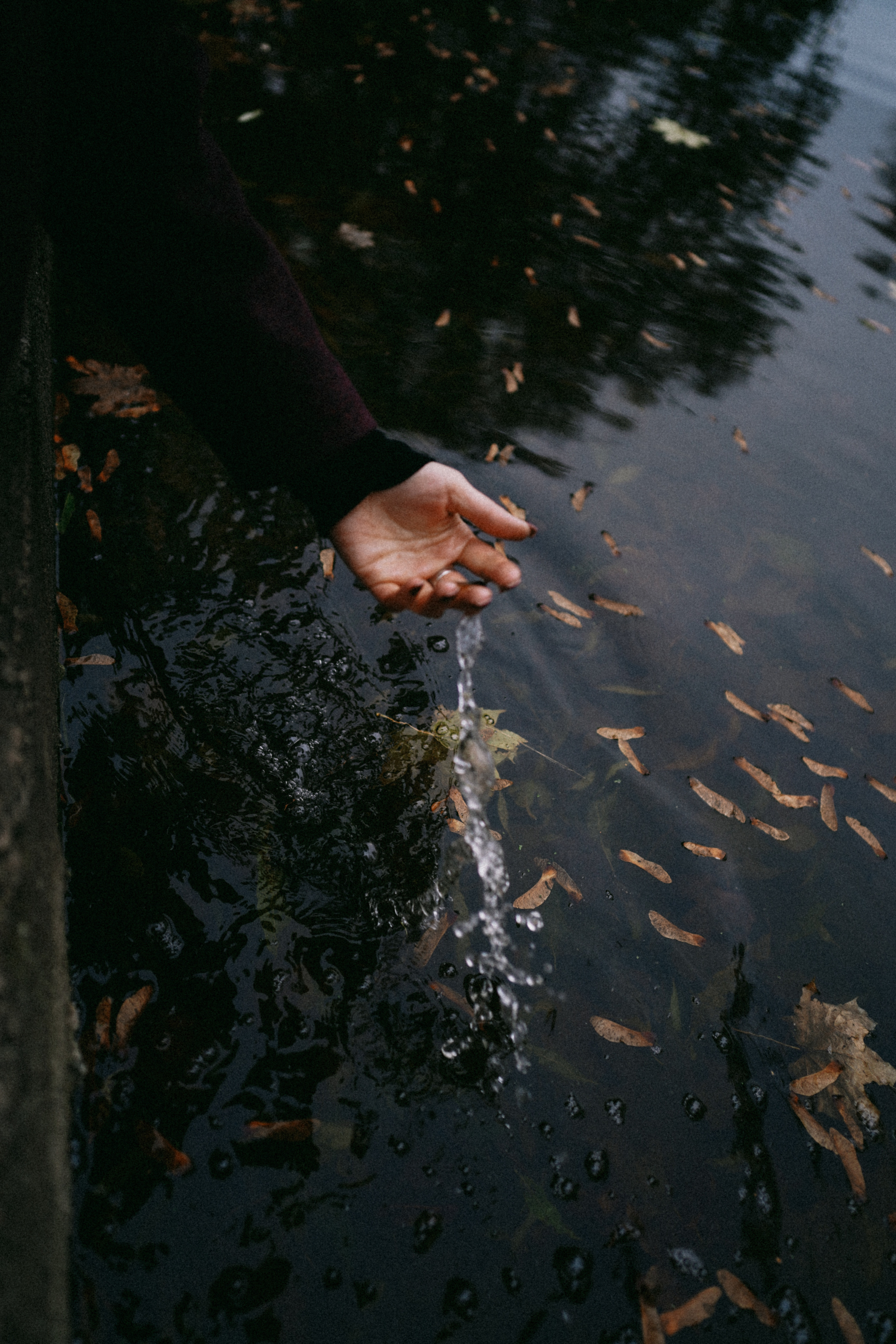Лермонтово. Свадебный фотограф в Саратове Антон Слепов