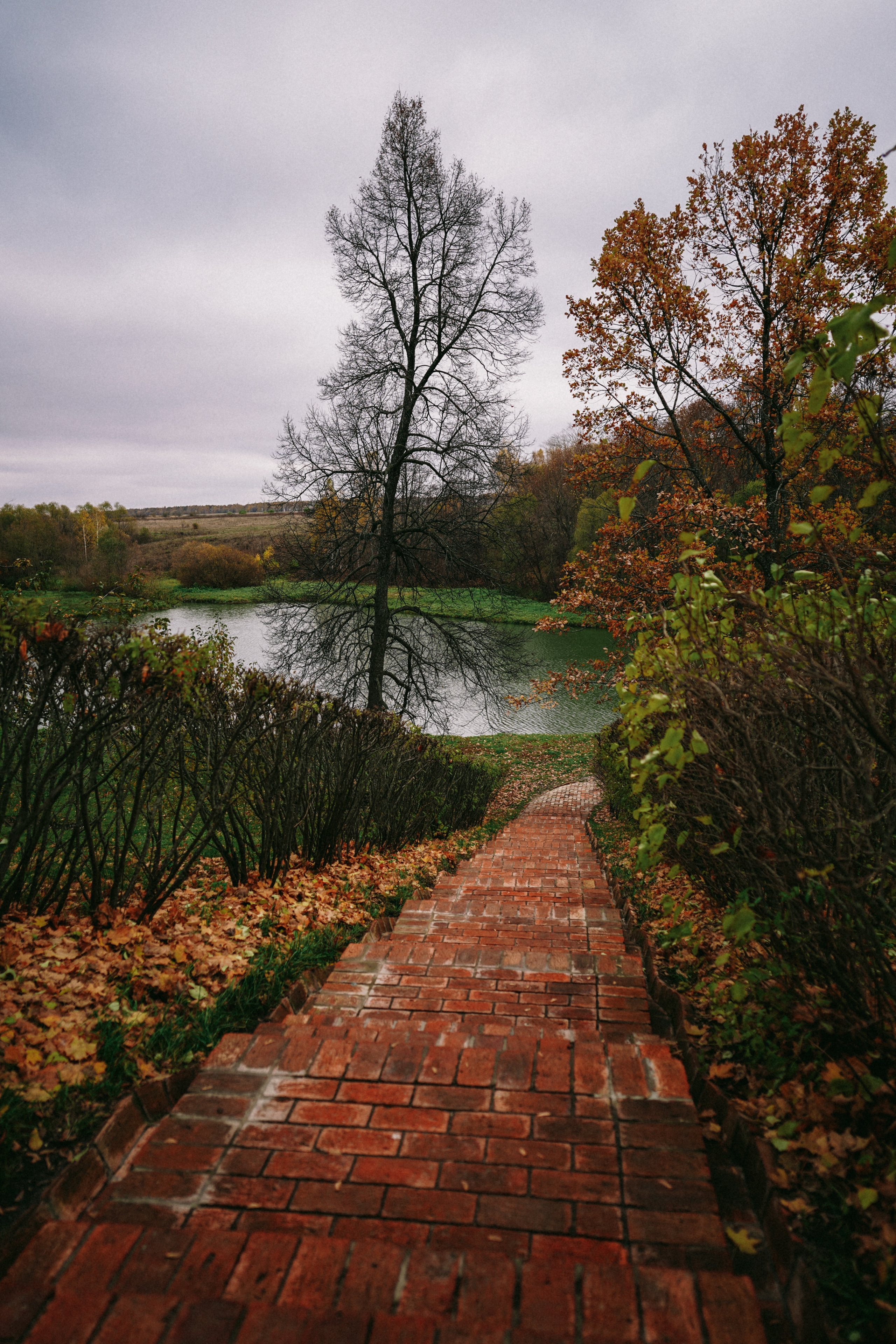 Лермонтово. Свадебный фотограф в Саратове Антон Слепов