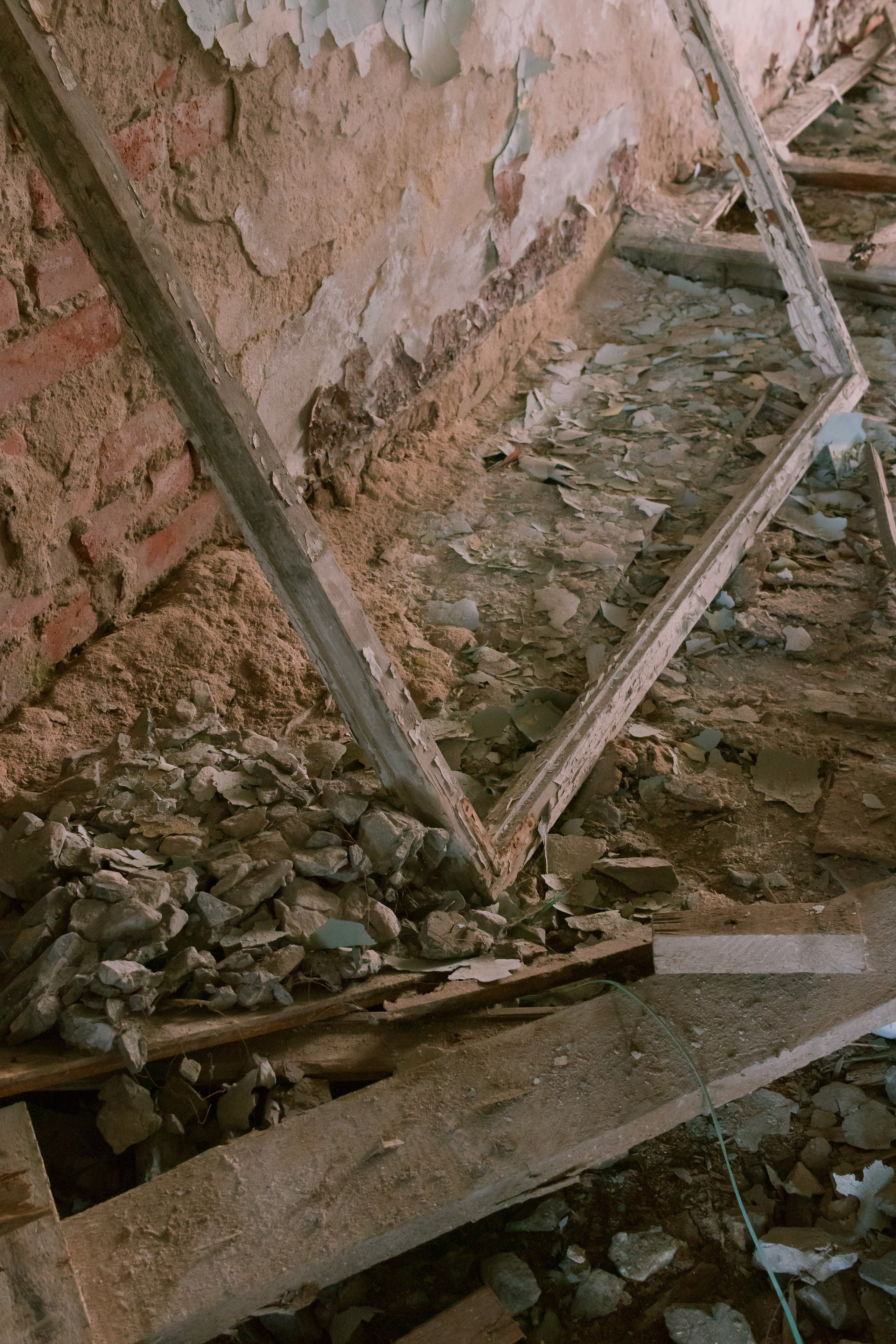 Ника. Фотограф Михаил Николаев