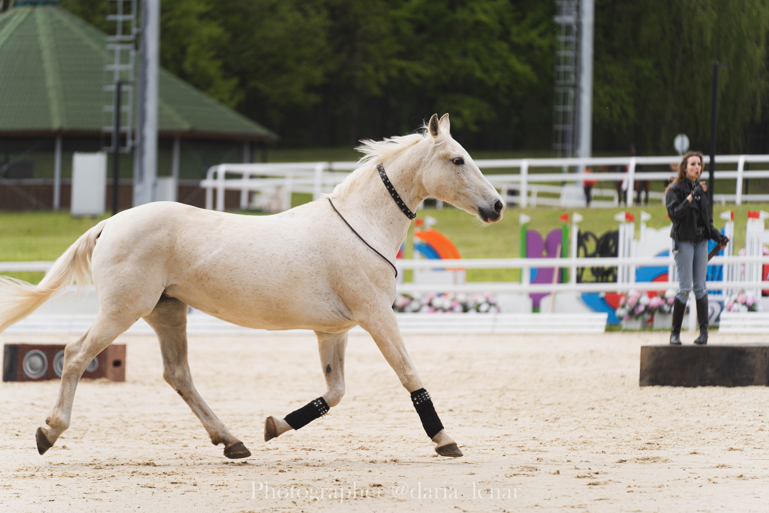 Конные фестивали и мероприятия. Фотограф в Москве Ленарская Дарья