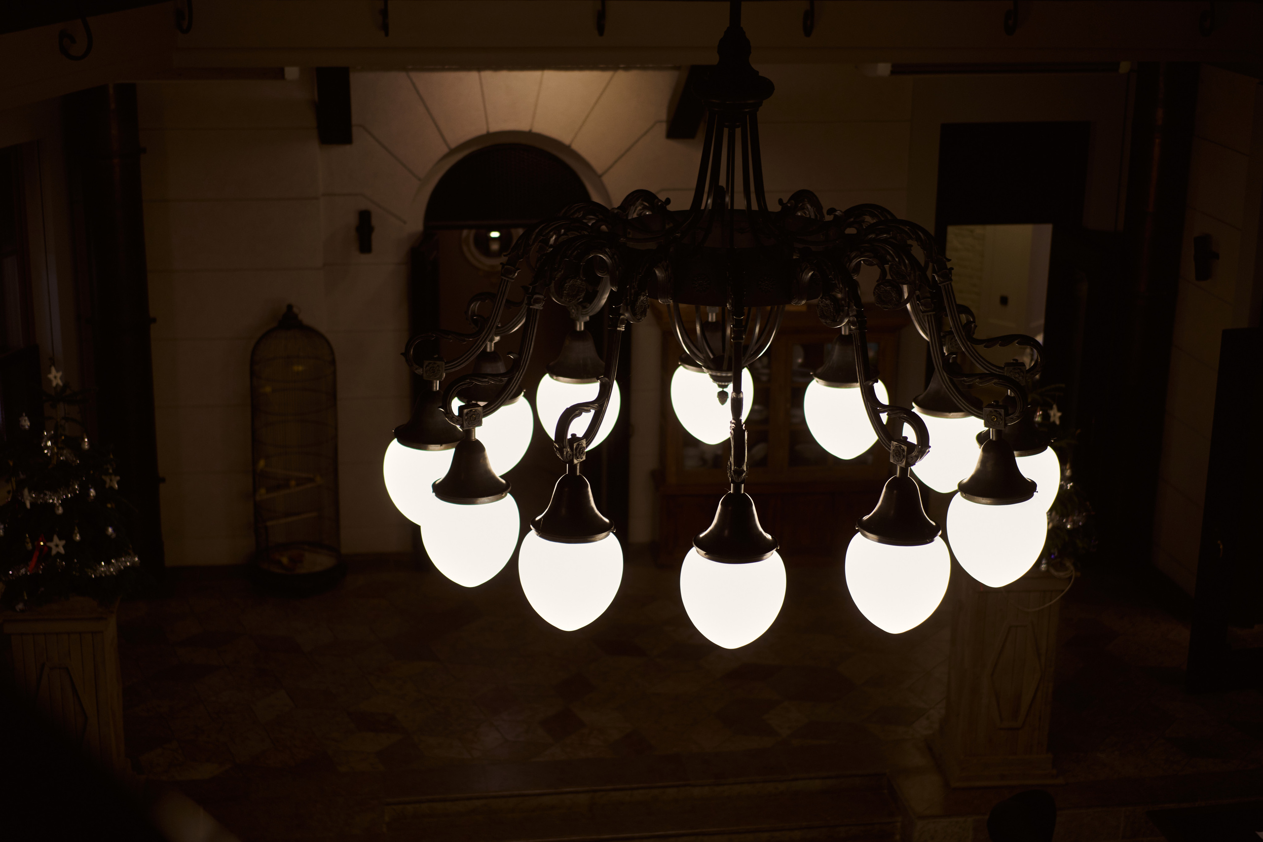 V.V. Winter fairytale Nastya vision. Wed Photographers 📷 Saint Petersburg