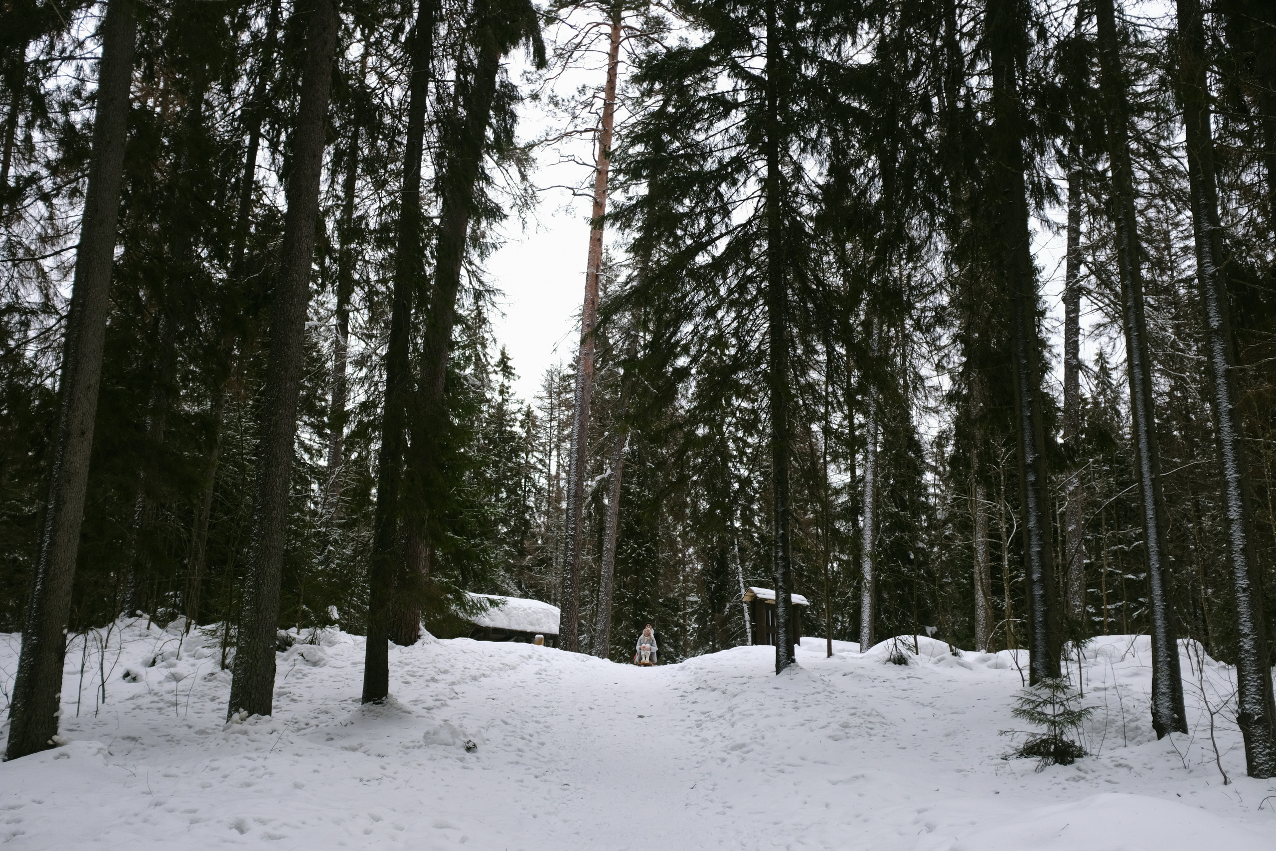 Полина&Виталик (Свадьба: Gentlemen Prefer Blondes). Wed Photographers 📷 Saint Petersburg
