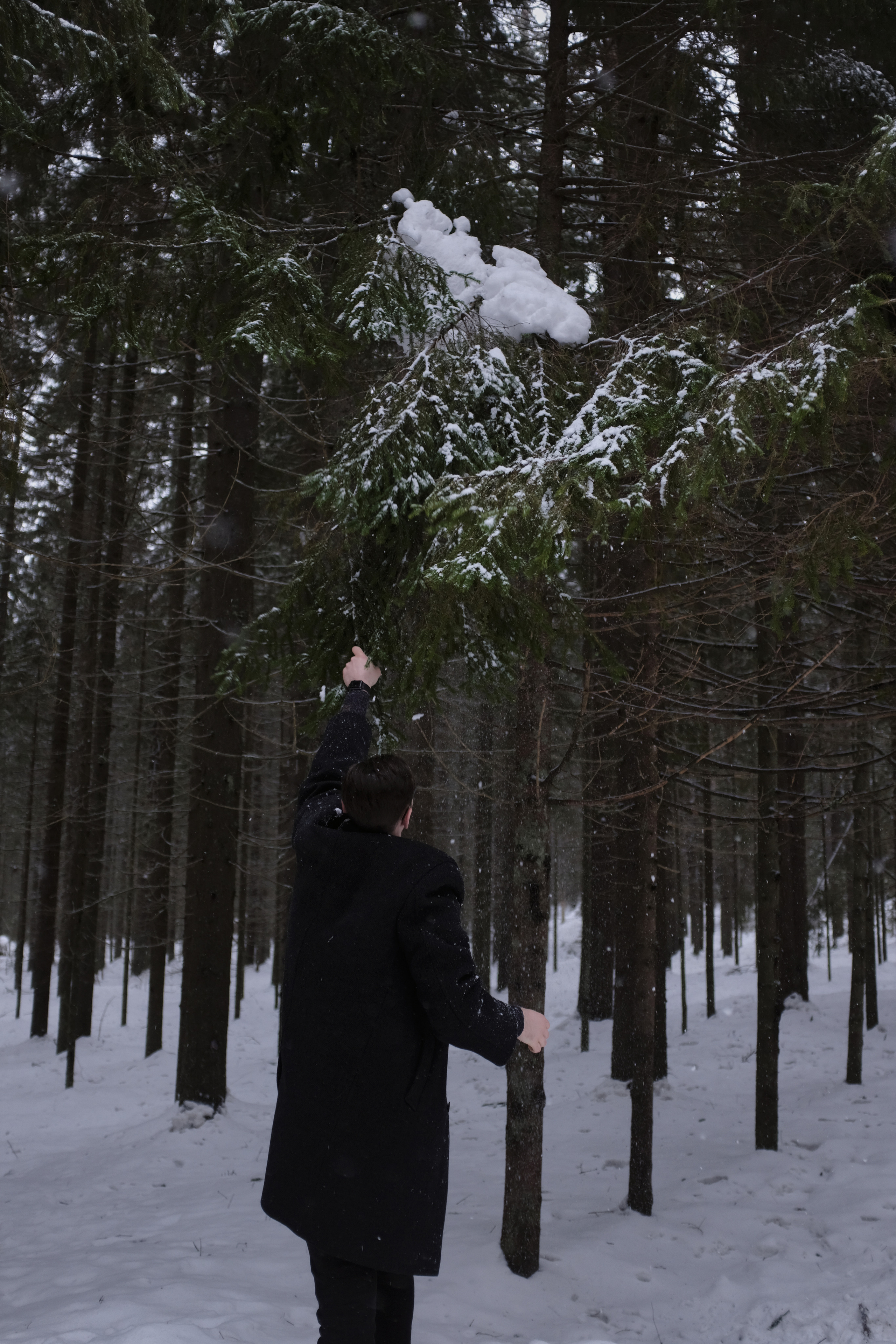 Полина&Виталик (Свадьба: Gentlemen Prefer Blondes). Wed Photographers 📷 Saint Petersburg