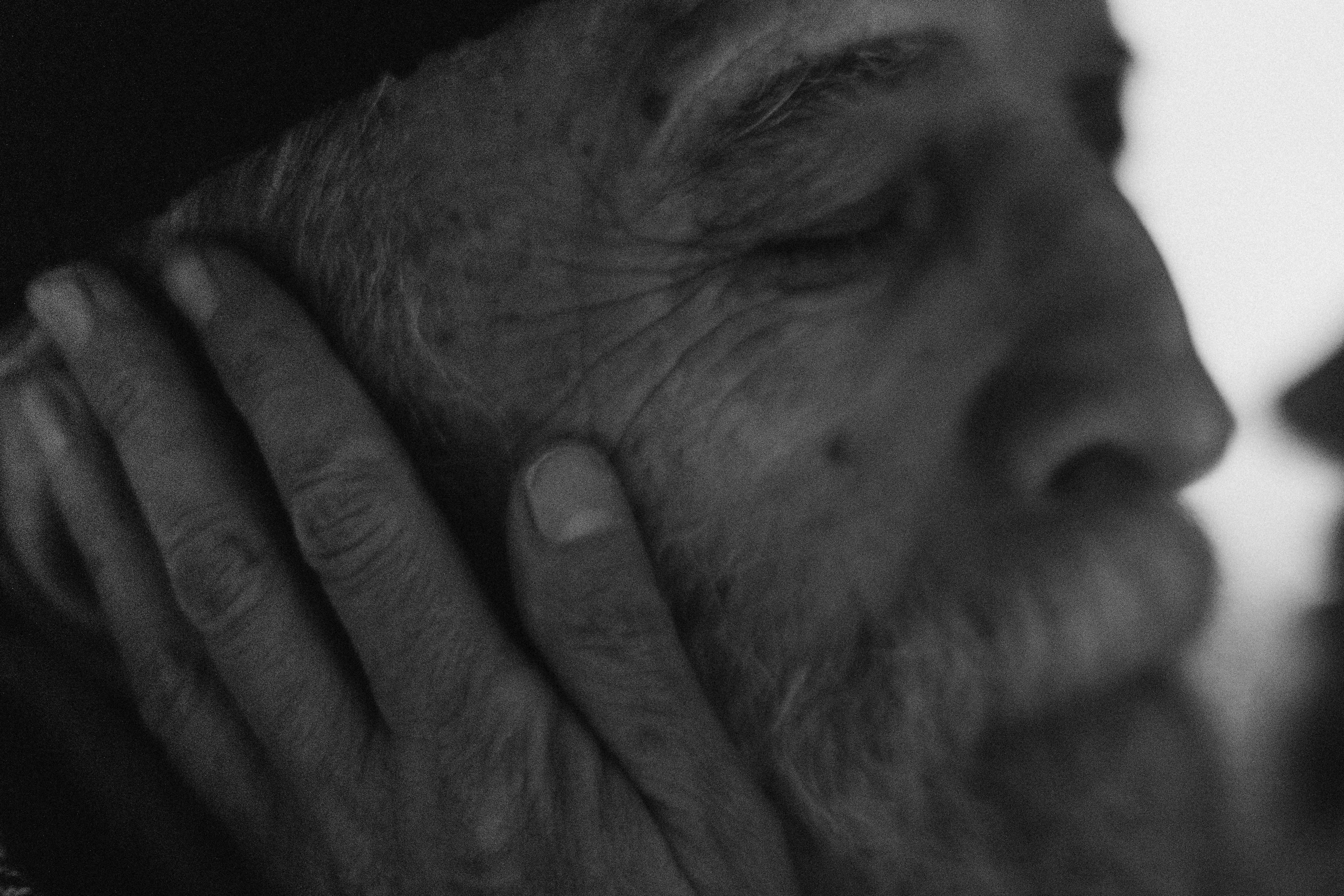 E.R. Wed Photographers 📷 Saint Petersburg