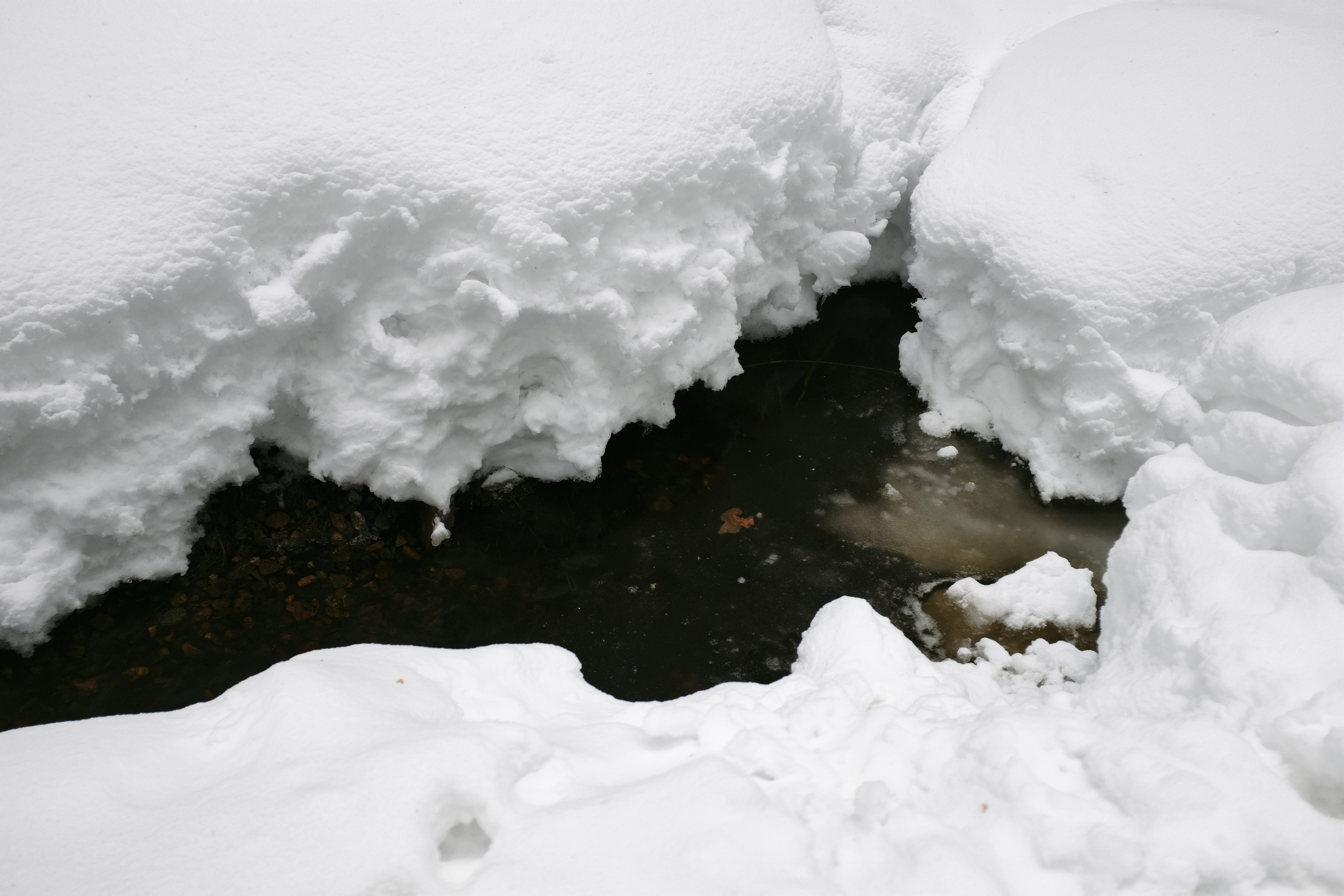 Полина&Виталик (Свадьба: Gentlemen Prefer Blondes). Wed Photographers 📷 Saint Petersburg