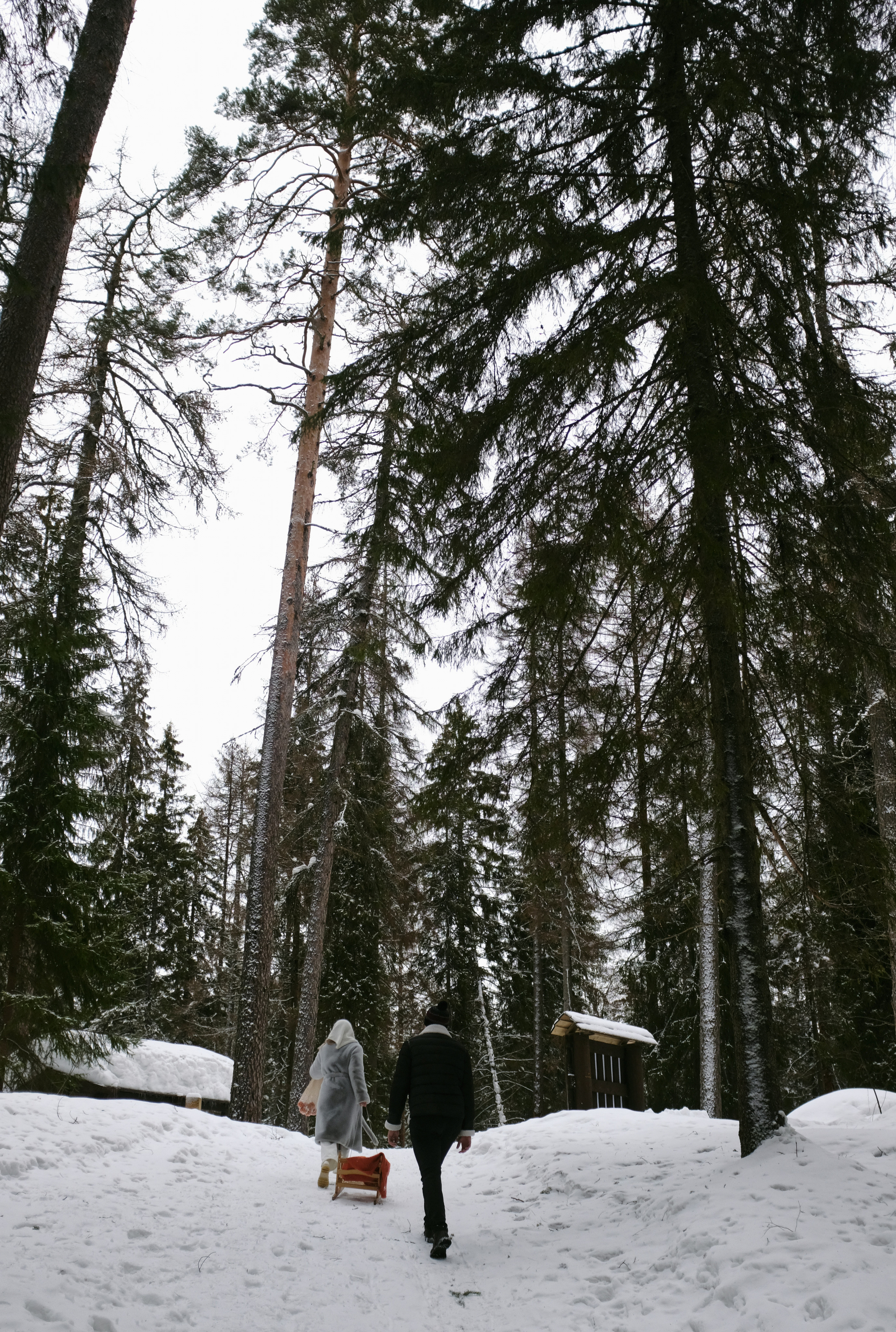 Полина&Виталик (Свадьба: Gentlemen Prefer Blondes). Wed Photographers 📷 Saint Petersburg