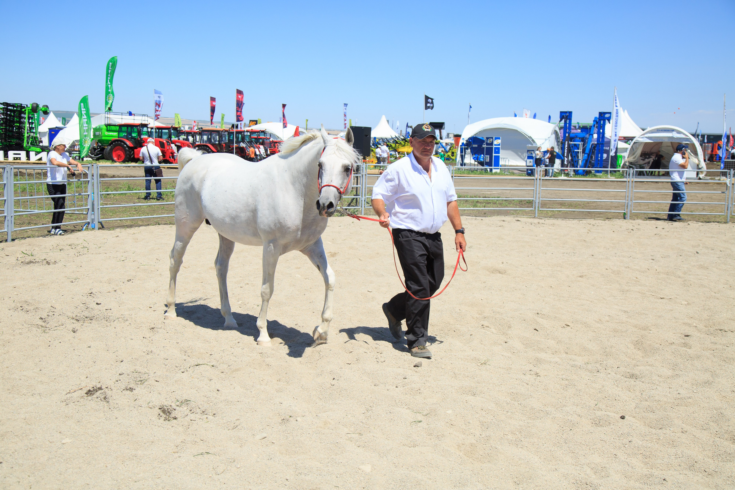 Репортажный фотограф. Репортажная фотосъёмка Минеральные Воды, Пятигорск, Кисловодск, Ставрополь. Репортажный и свадебный фотограф Пятигорск и КМВ