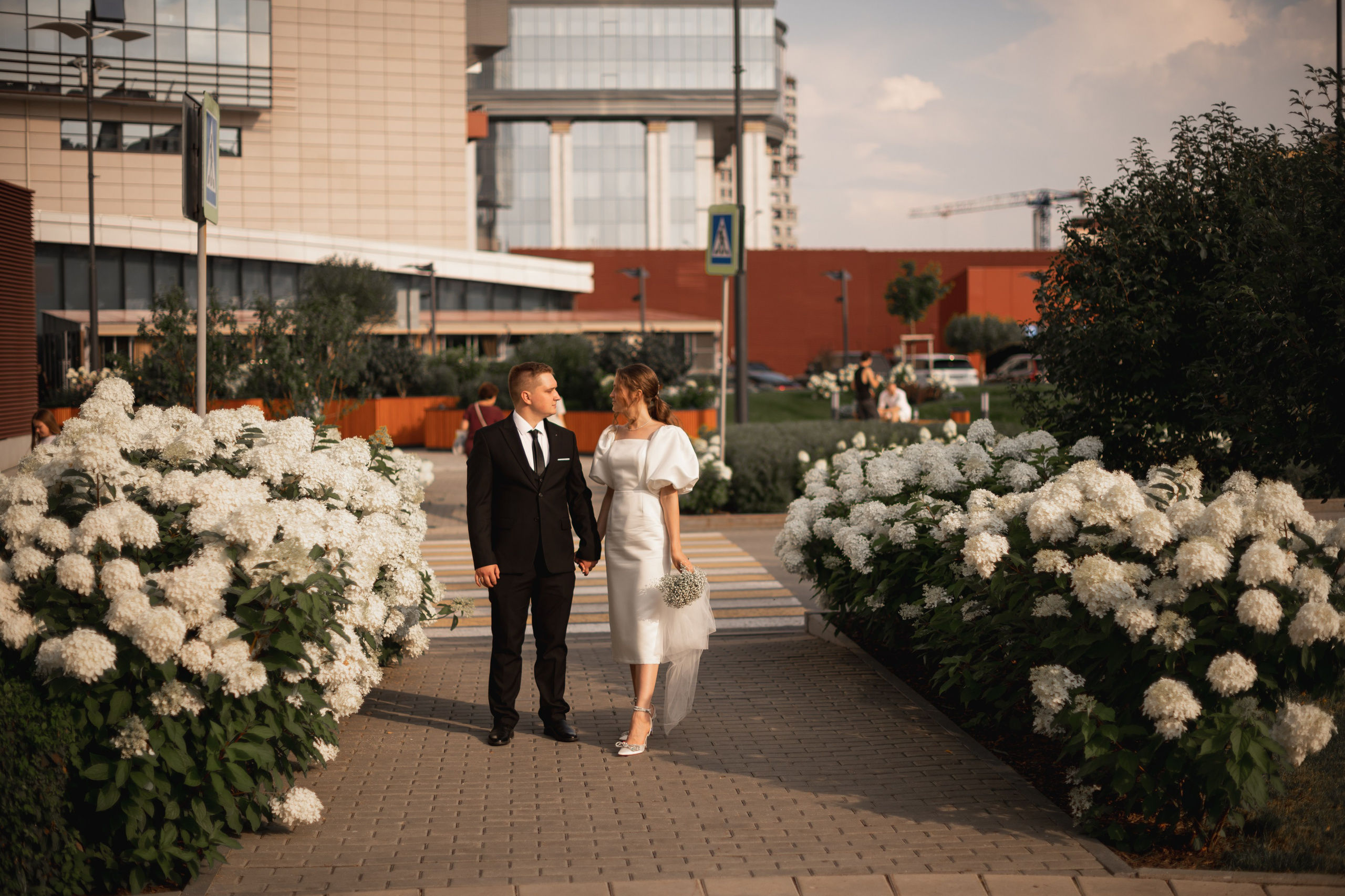 Елена и Михаил. Фомина Елена Свадебный и семейный фотограф