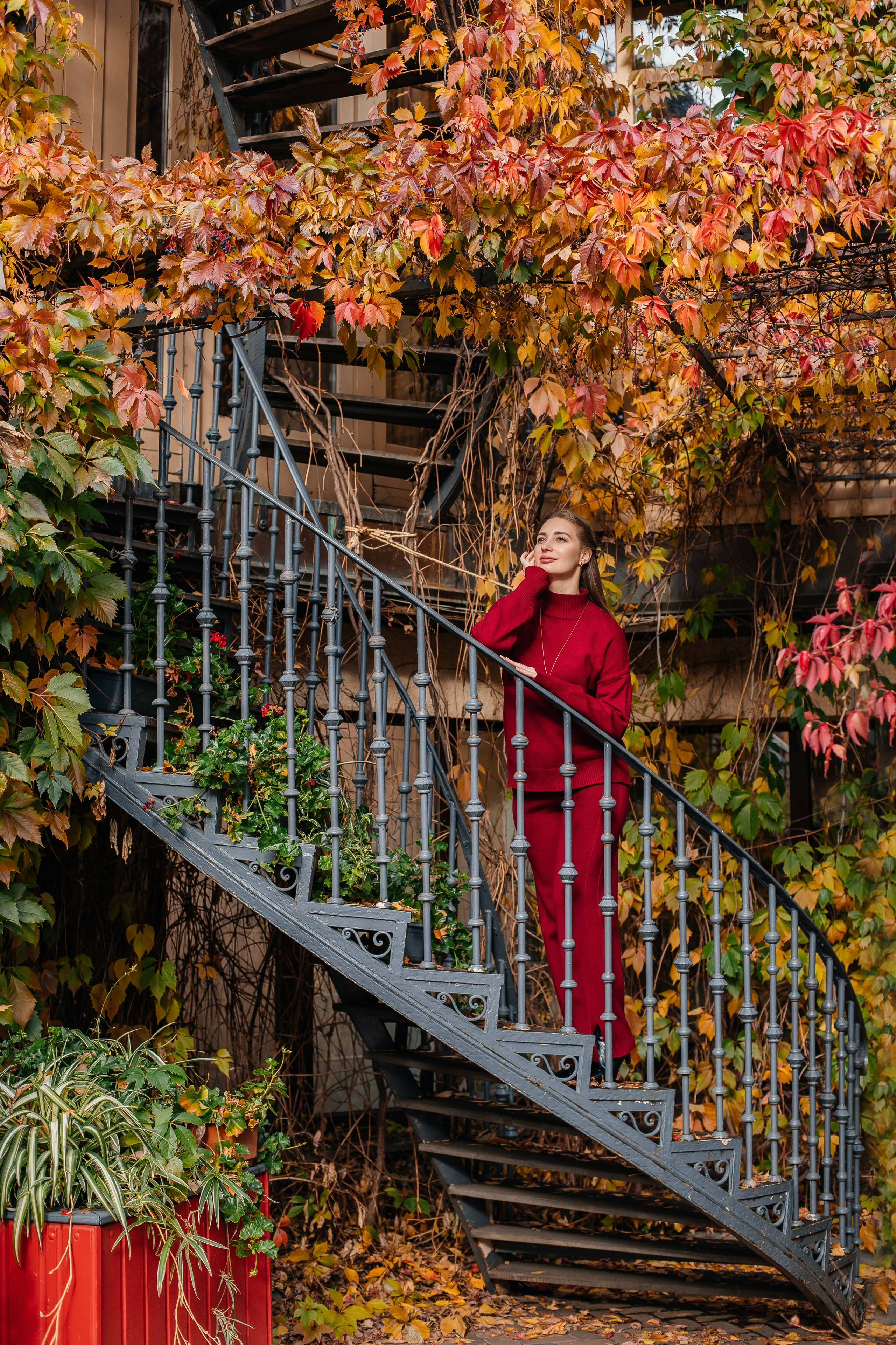 Дворик. Анастасия Давыдова