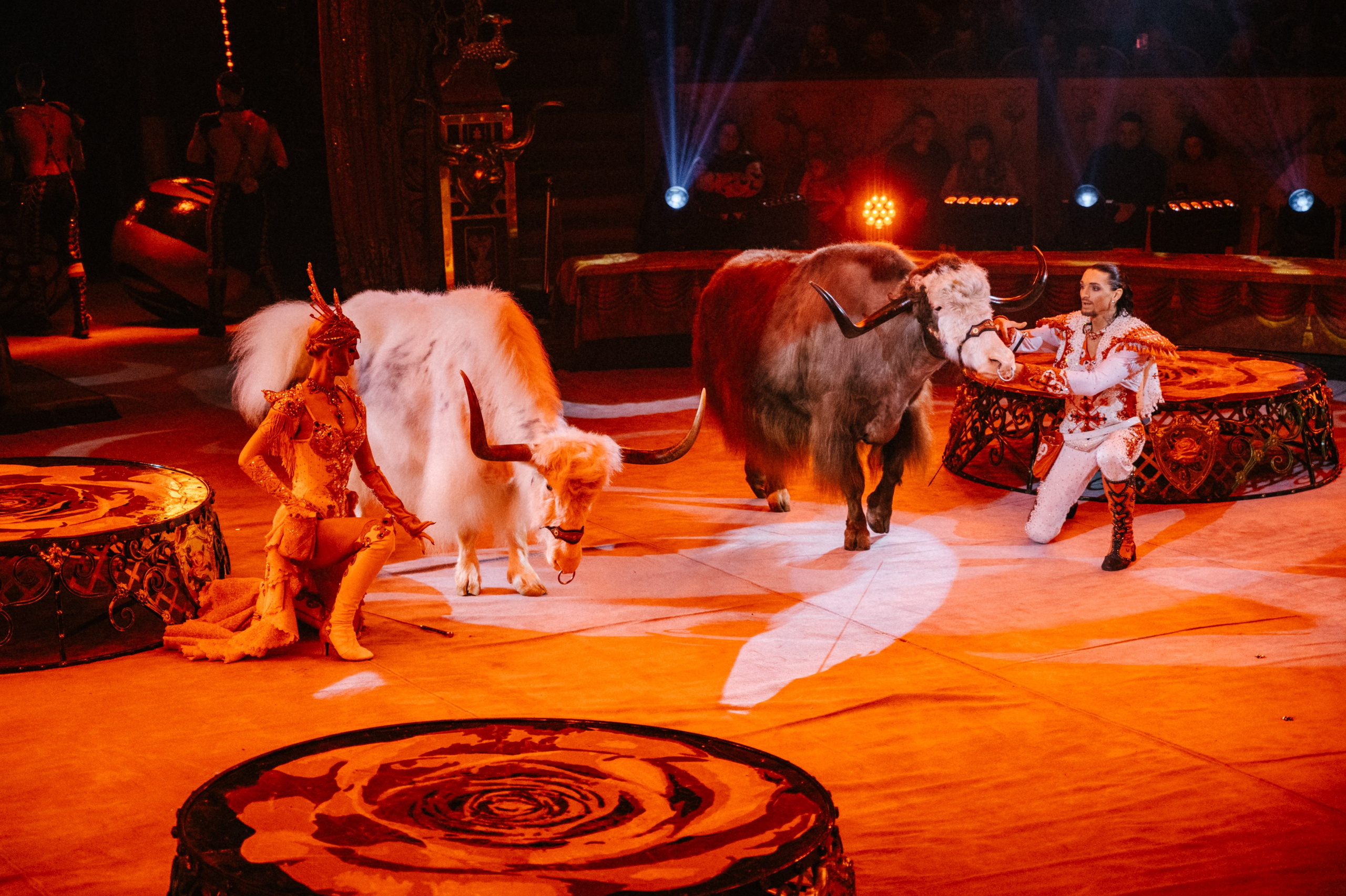 Королевский Цирк Гии Эрадзе. Репортажный и портретный фотограф в Санкт-Петербурге Степлевич Дарья