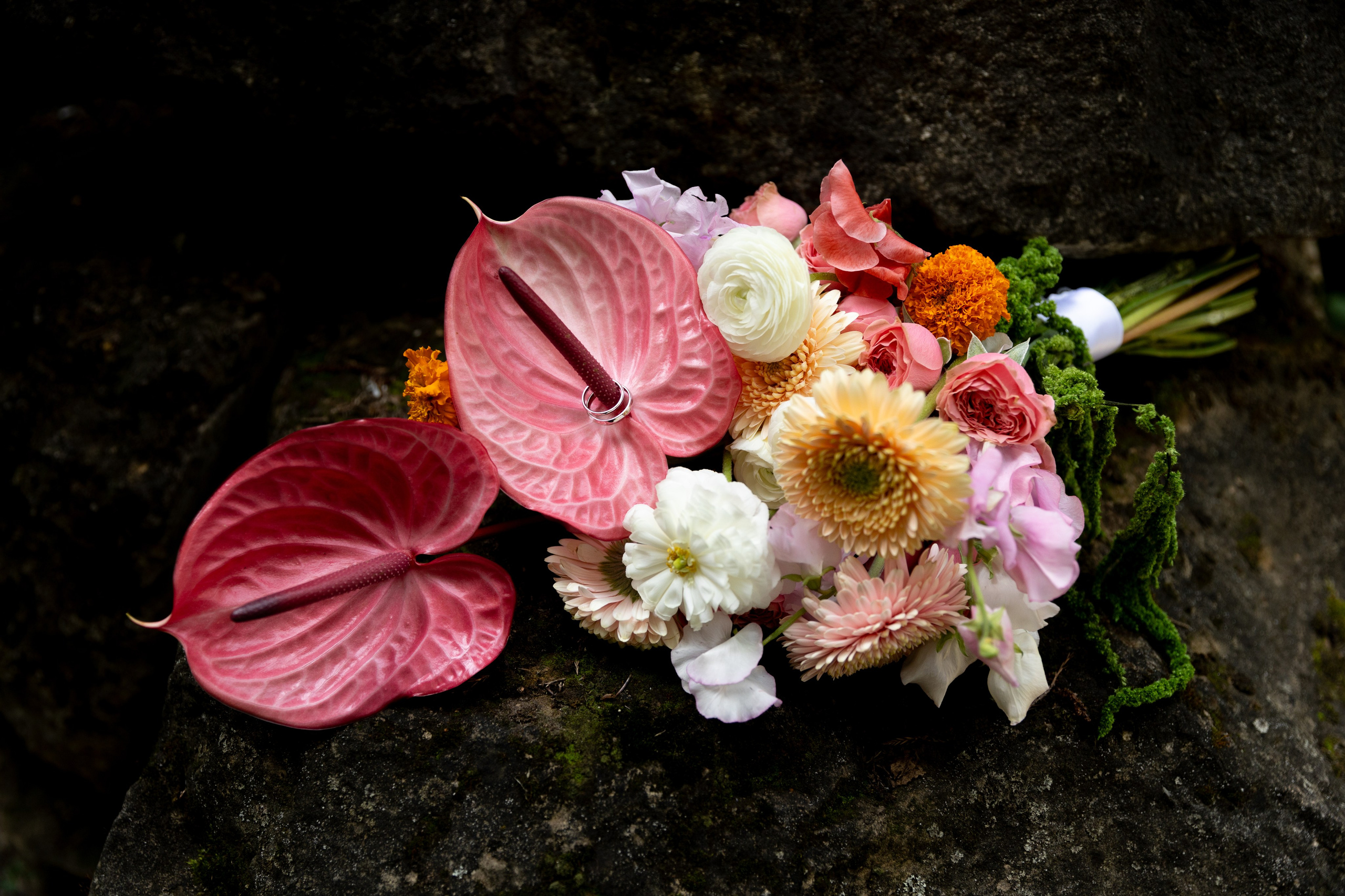 Таня и Ваня, площадка «Таёжный». Свадебный фотограф | Москва