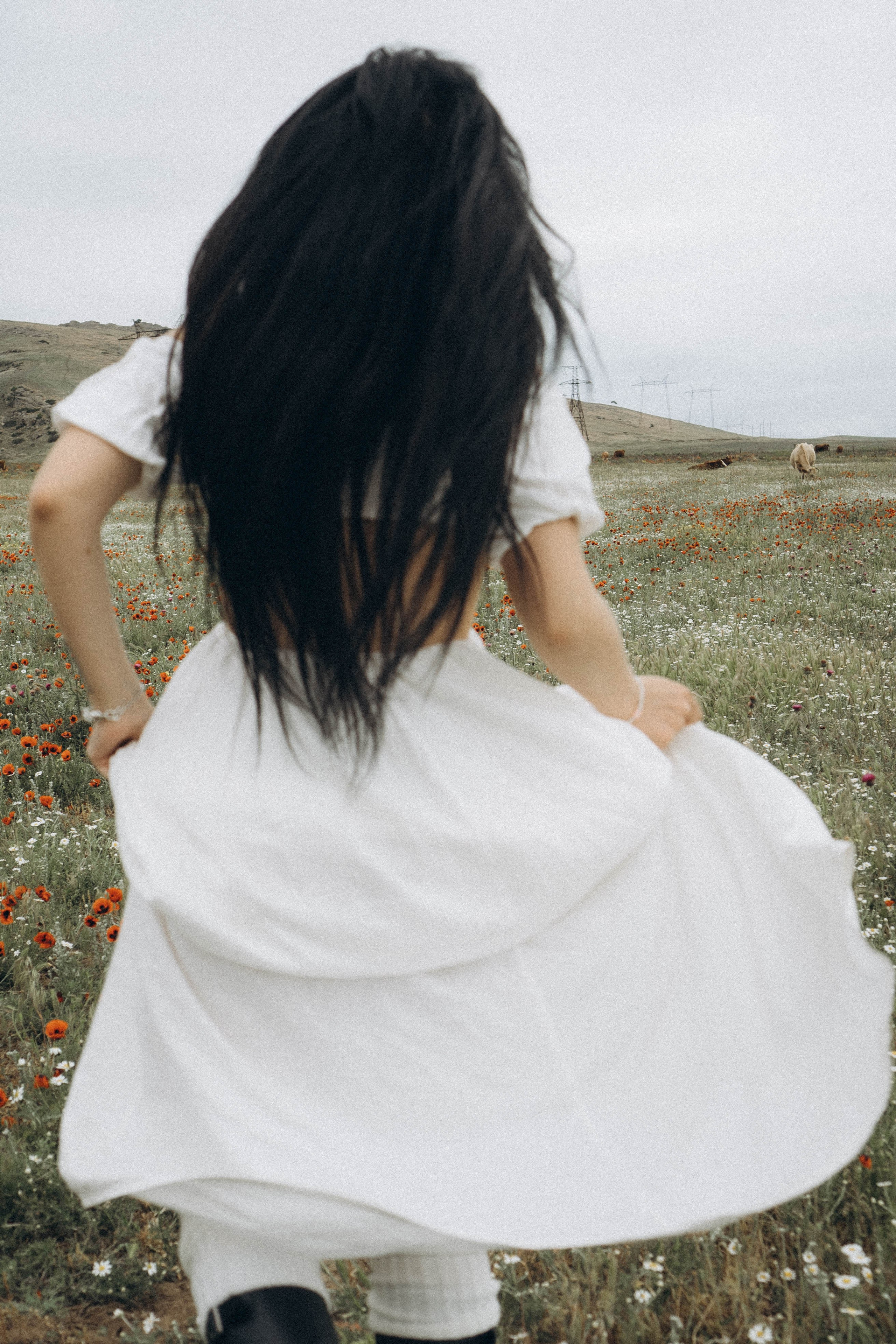 Маковое поле. Профессиональный фотограф, Санкт-Петербург — Виктория Богомолова