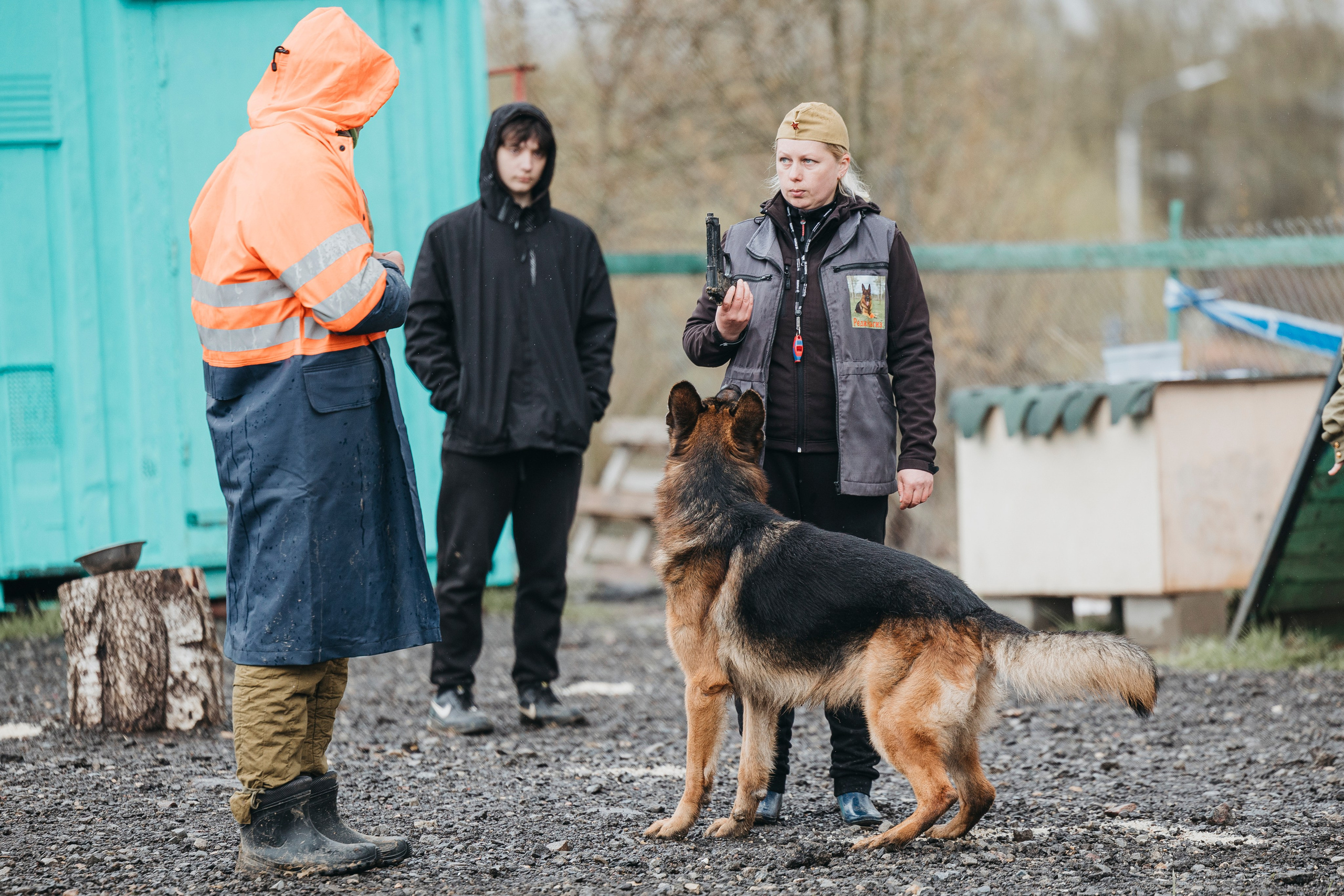 09.05.25 Вологда соревнования. Фотограф-анималист Анна Маринич