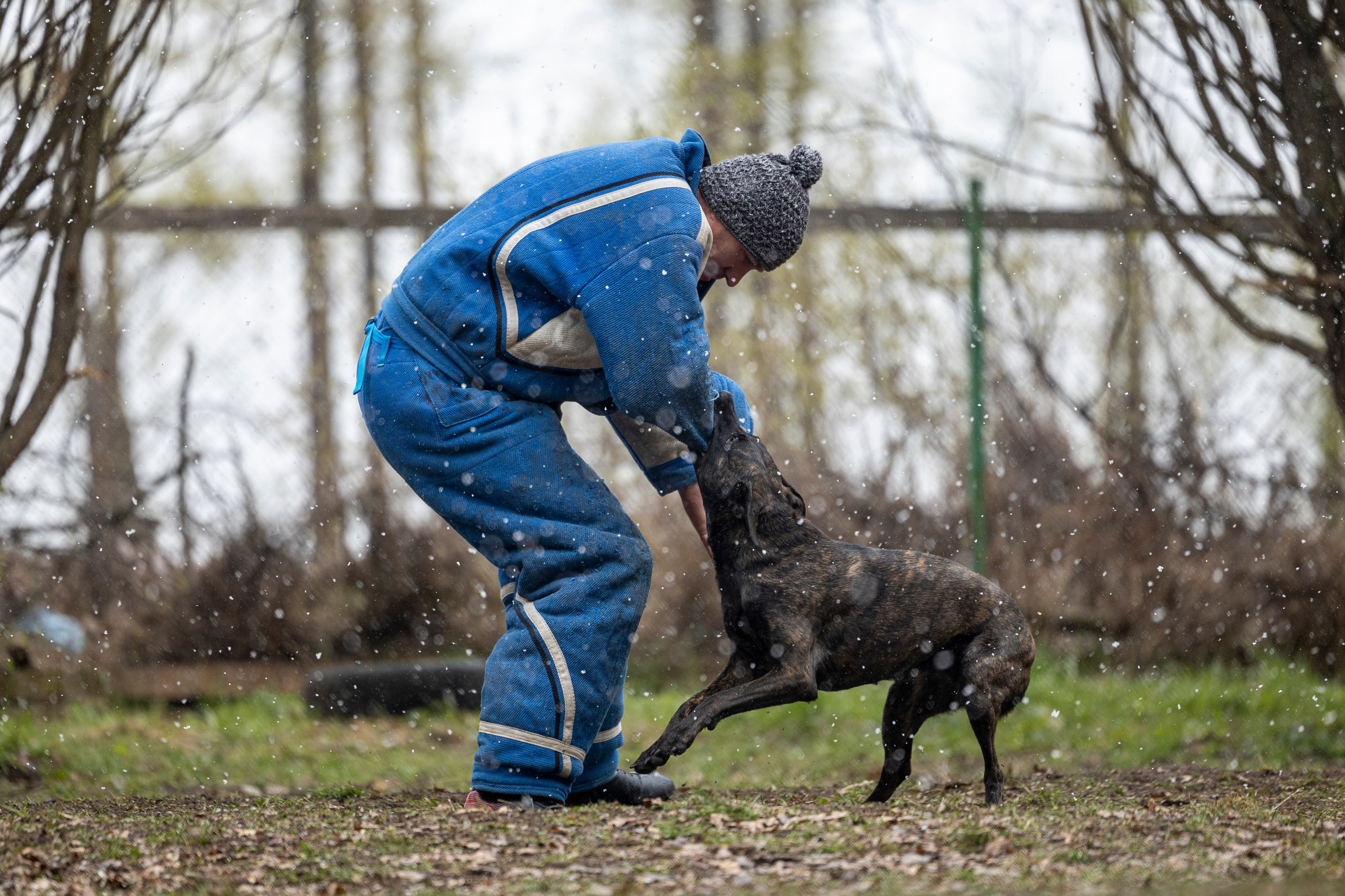 Квалификационные состязания по мондьорингу г. Вологда 11.05.24. Фотограф-анималист Анна Маринич