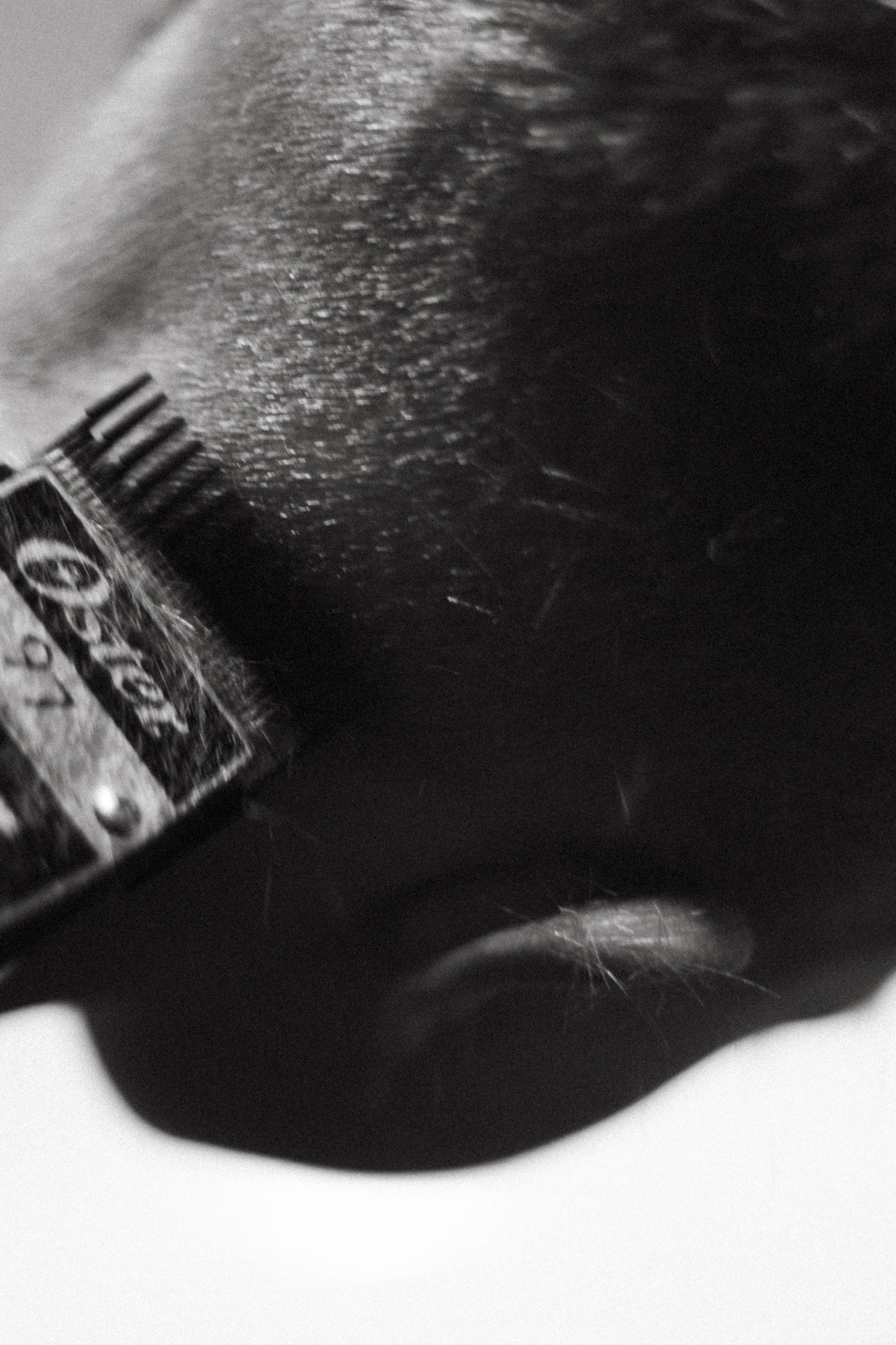 Портрет. Варвара Бабёнышева