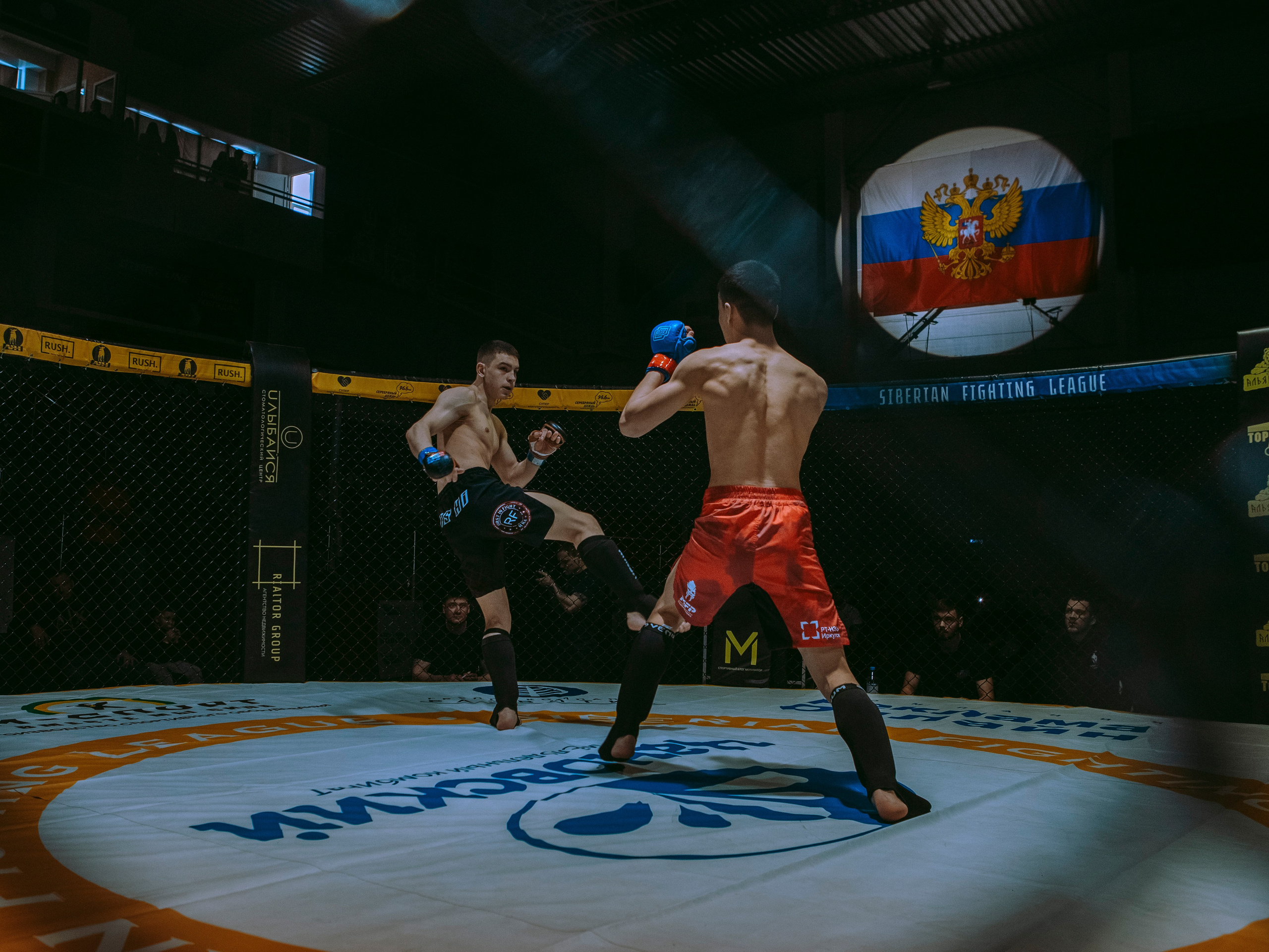 SFL 17 | Siberian Fighting League. Портретный фотограф в Москве Дарья Цезария