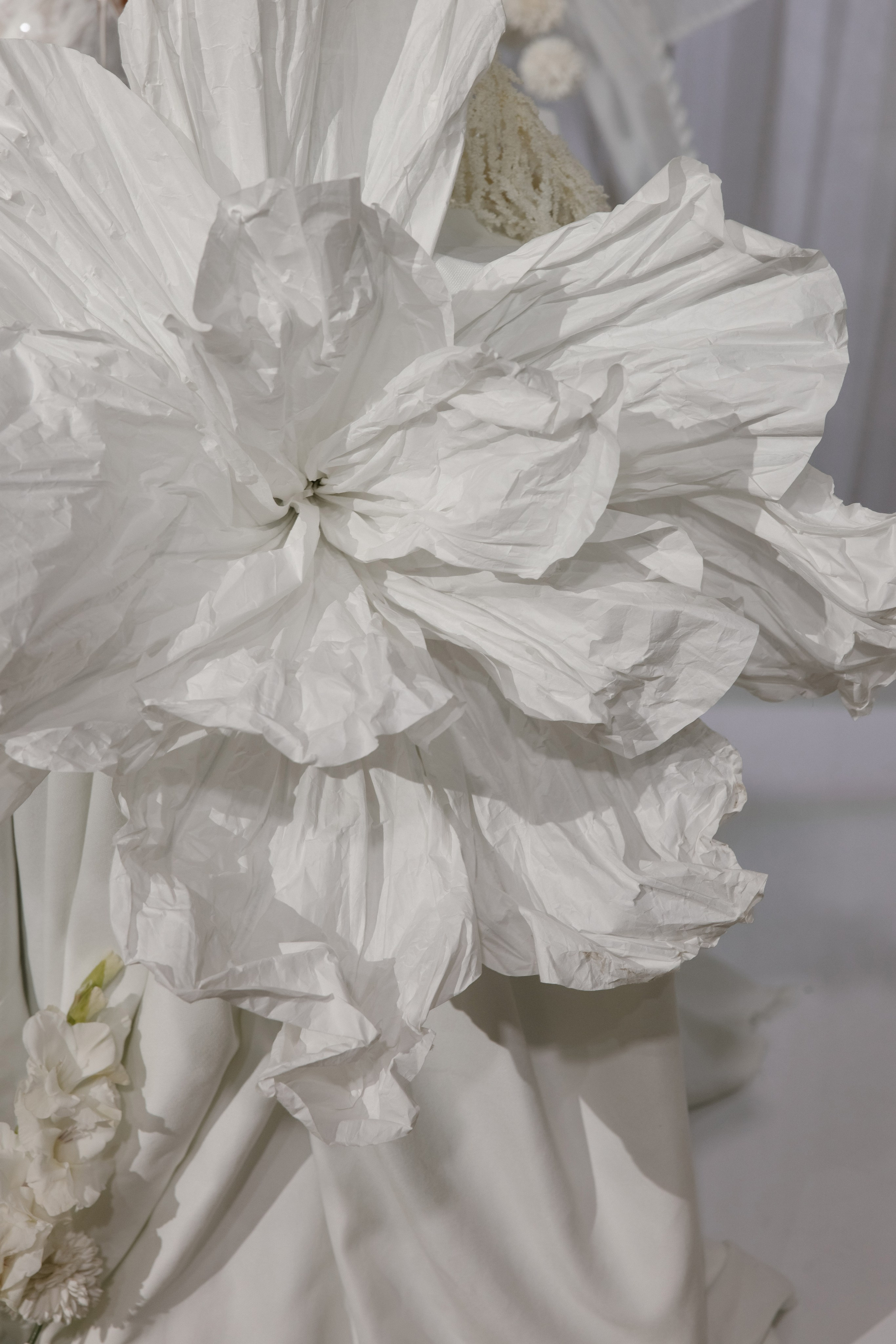 Николай и Анна. Свадебный фотограф Тверь, Москва и Санкт-Петербург