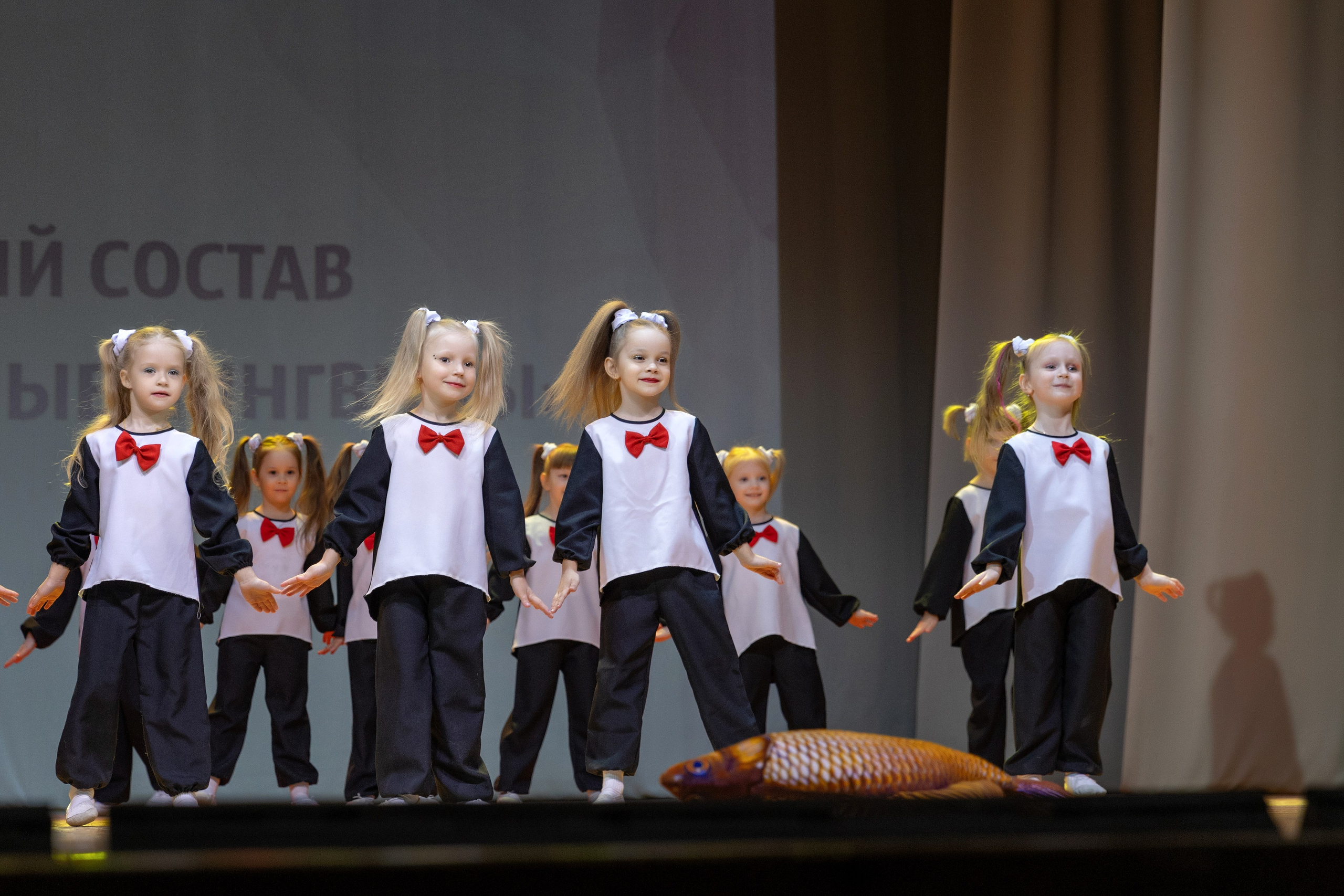 Концерты. Фотограф Ирина Бобрешова. Коряжма