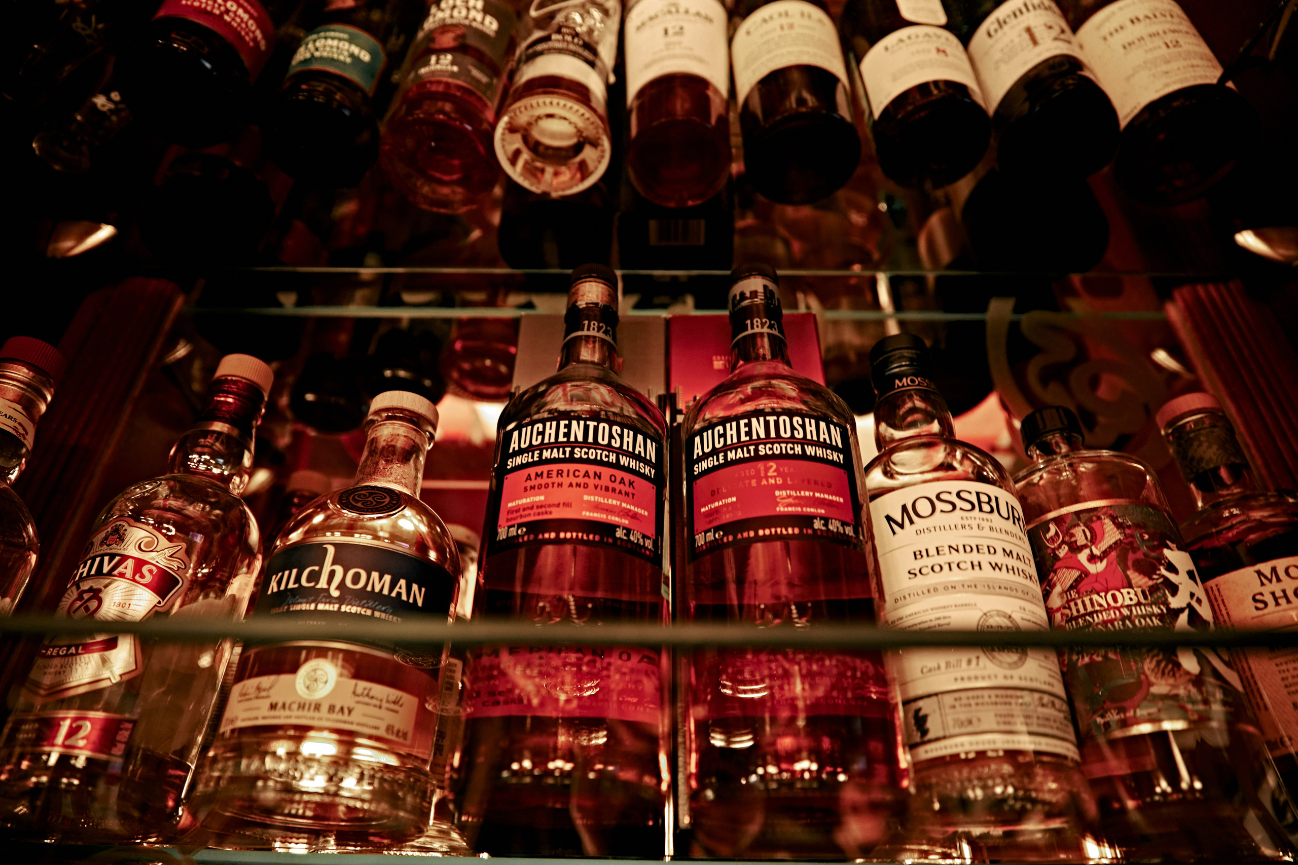 Бристоль. Фотограф Мария Байц в Санкт-Петербурге и по всей России