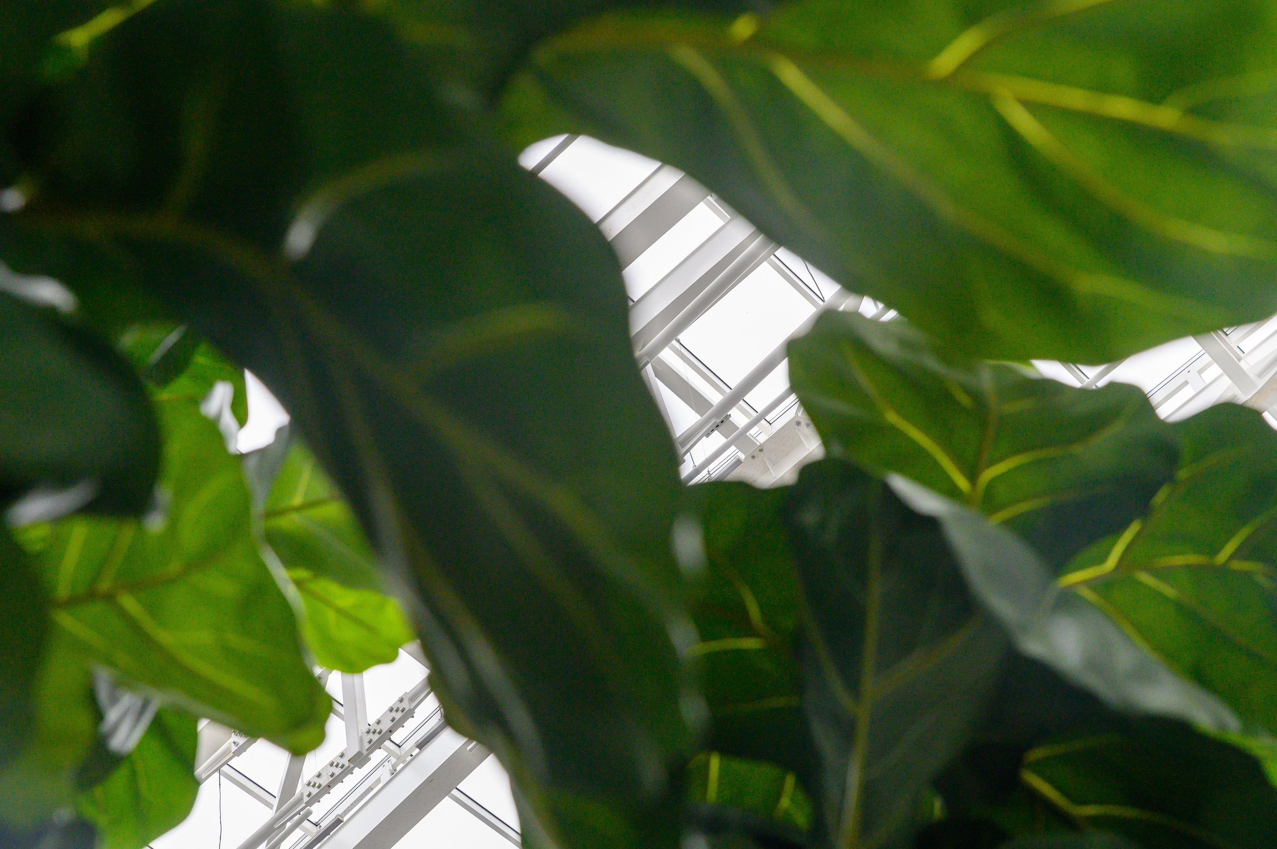 BelExpo. Фотоуслуги, услуги фотографа, фотографирование важных событий