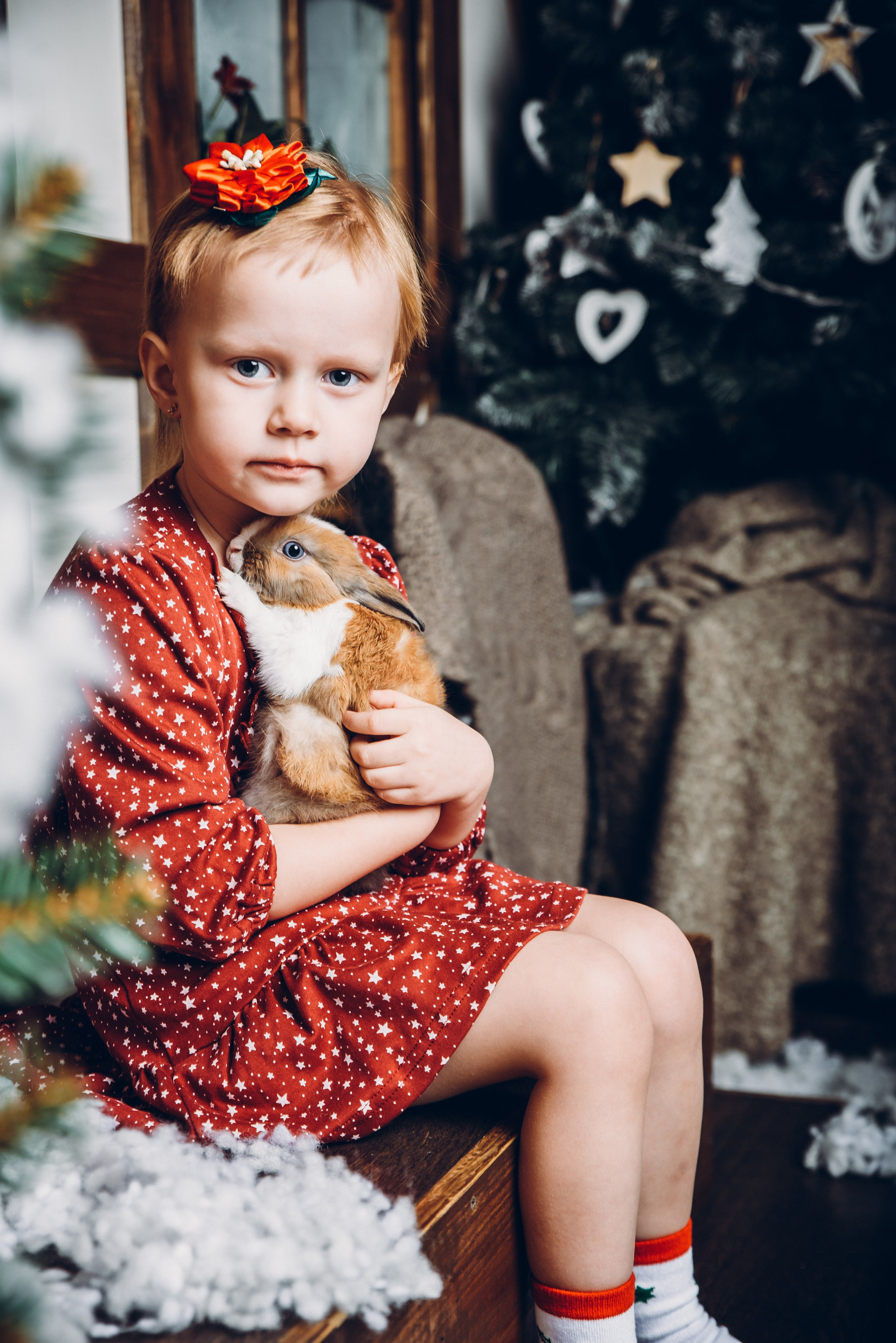 Новогодняя семейная фотосессия минск недорого с кроликом