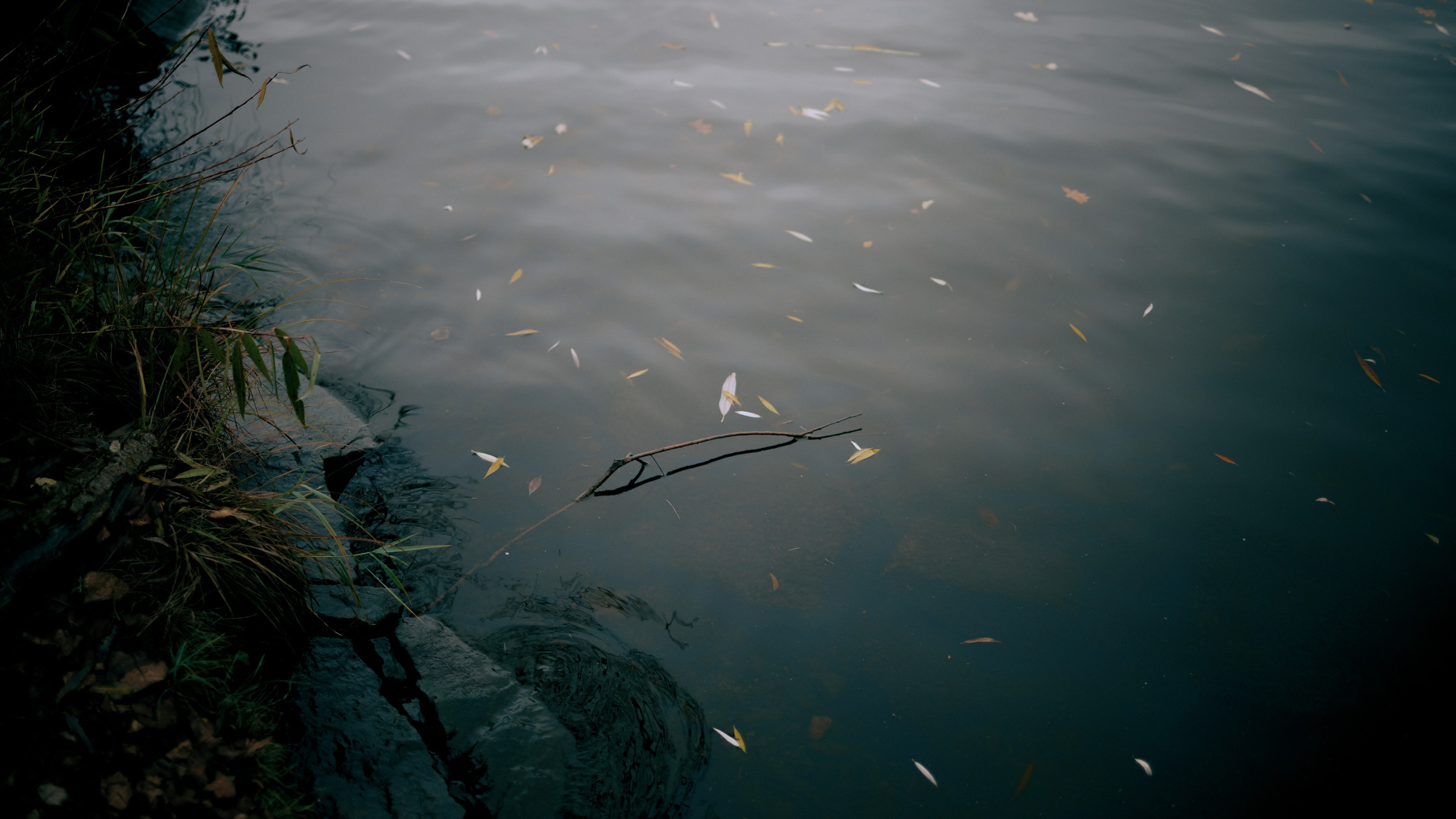 Hamdam. Photographer in Prague Alexander Pivovarov