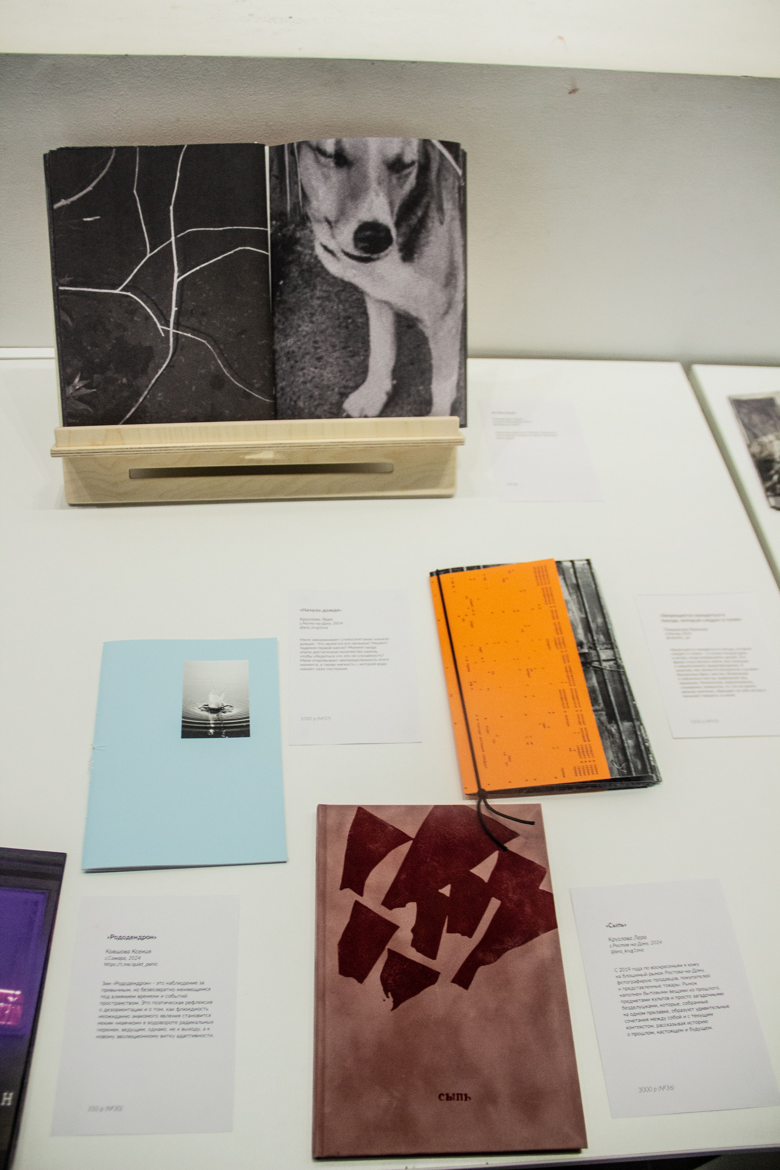 Разворот, фестиваль зинов, 27–29 сентября 2024, Дом архитектора, Воронеж. Лера Круглова