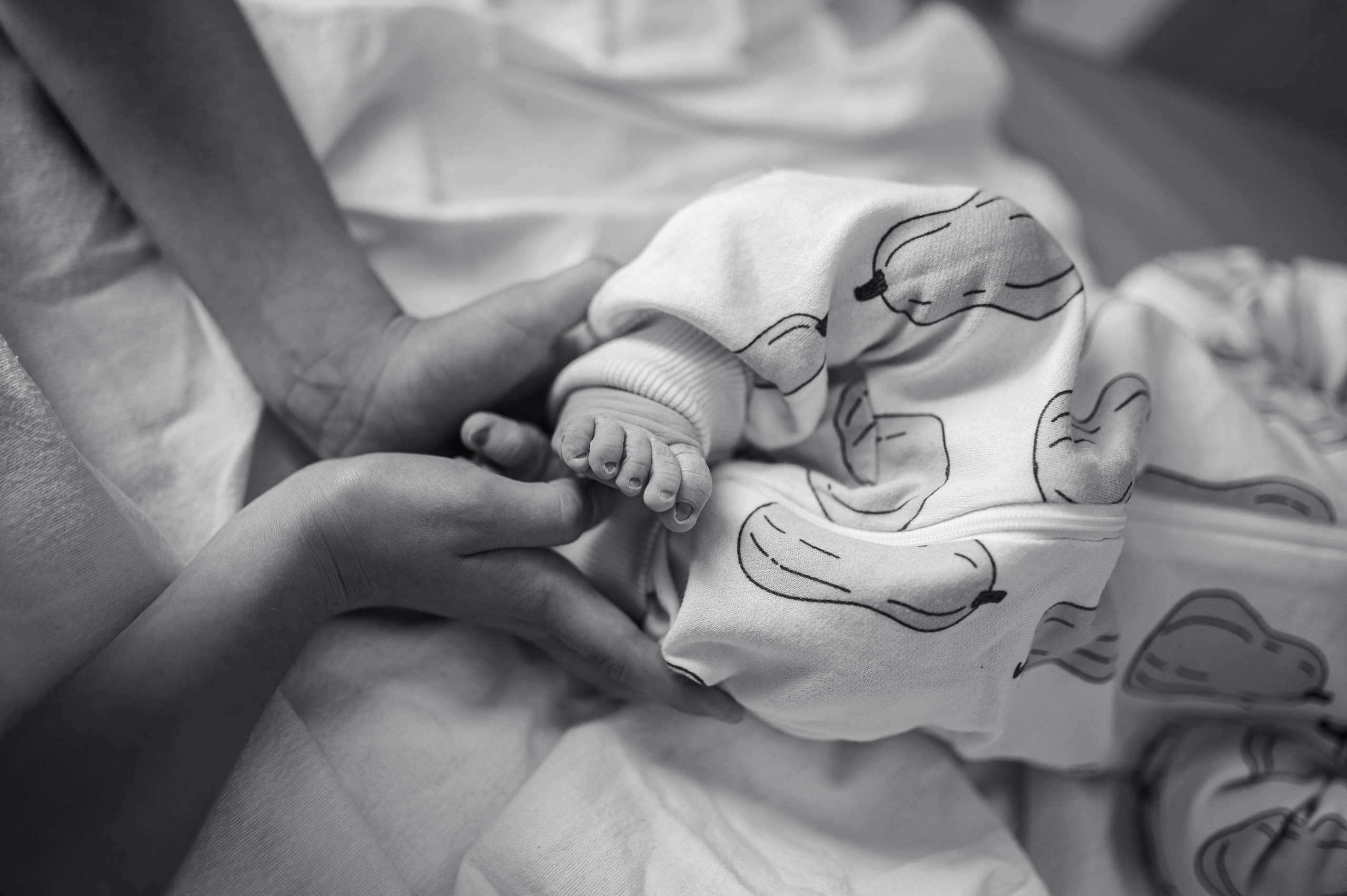 Хонор Хонорович родился в МД Лахта / Лешуков С. В. / Никитина Е. Фотограф на роды СПБ Юлия Герасимова