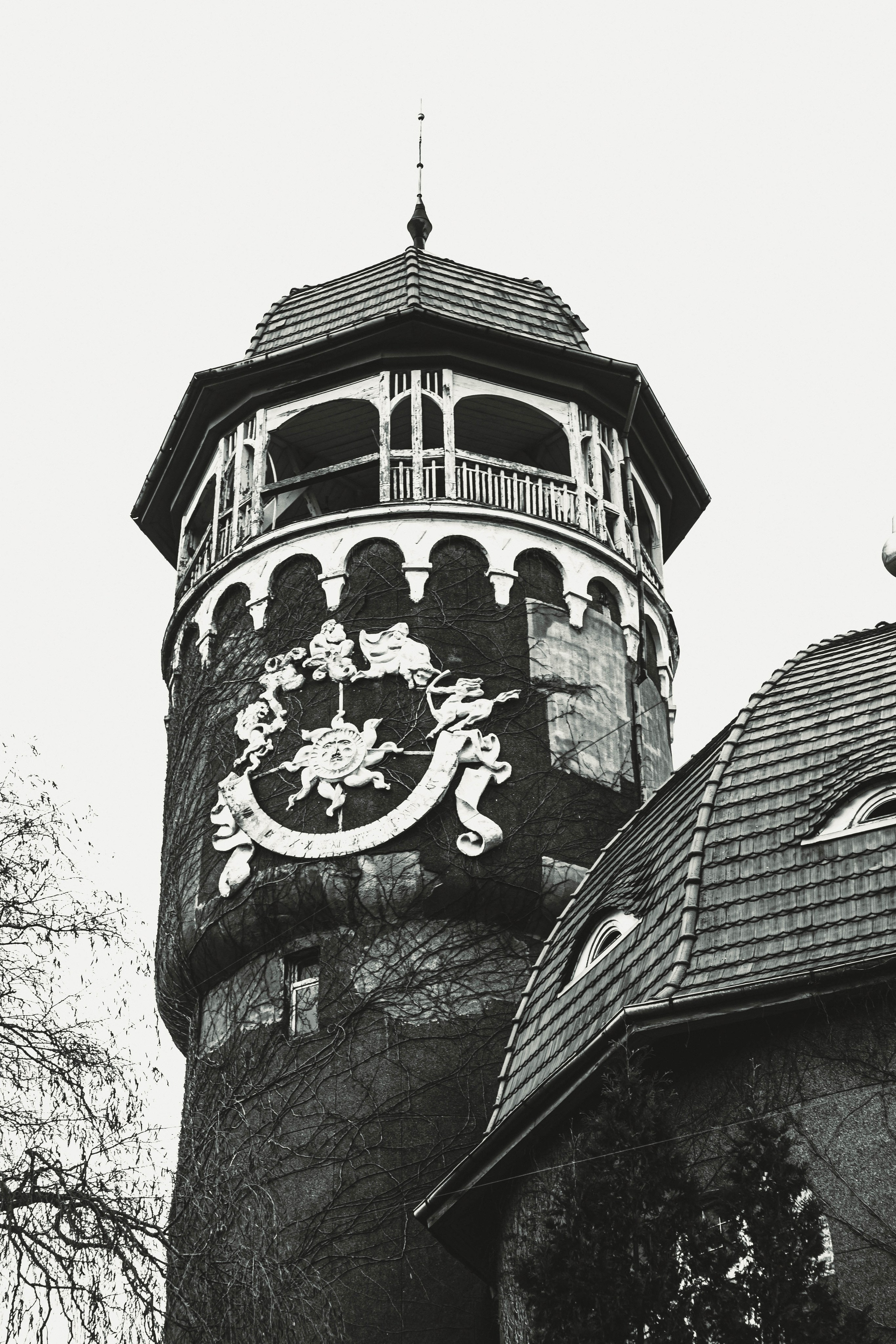 Калининград, декабрь 2025. Фотограф в Ярославле Ольга Пыненкова