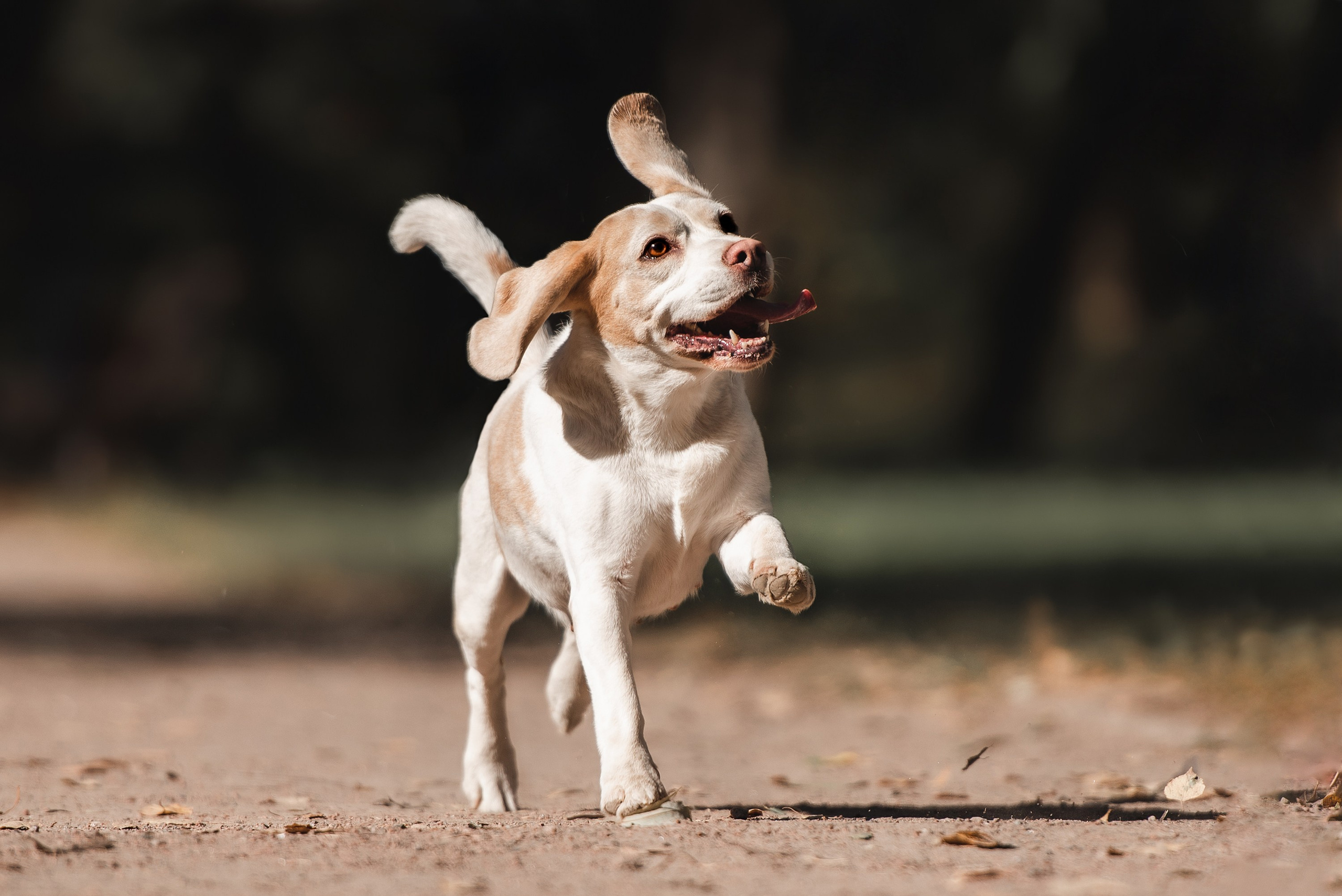 Оля и Ника. Семейный Фотограф в Москве Ирина Хохлова