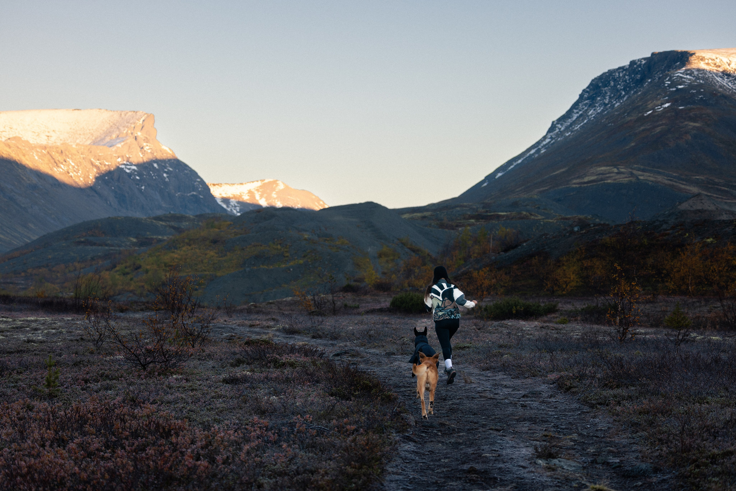Кольский. Фотограф и видеограф анималист Аганина Дарья