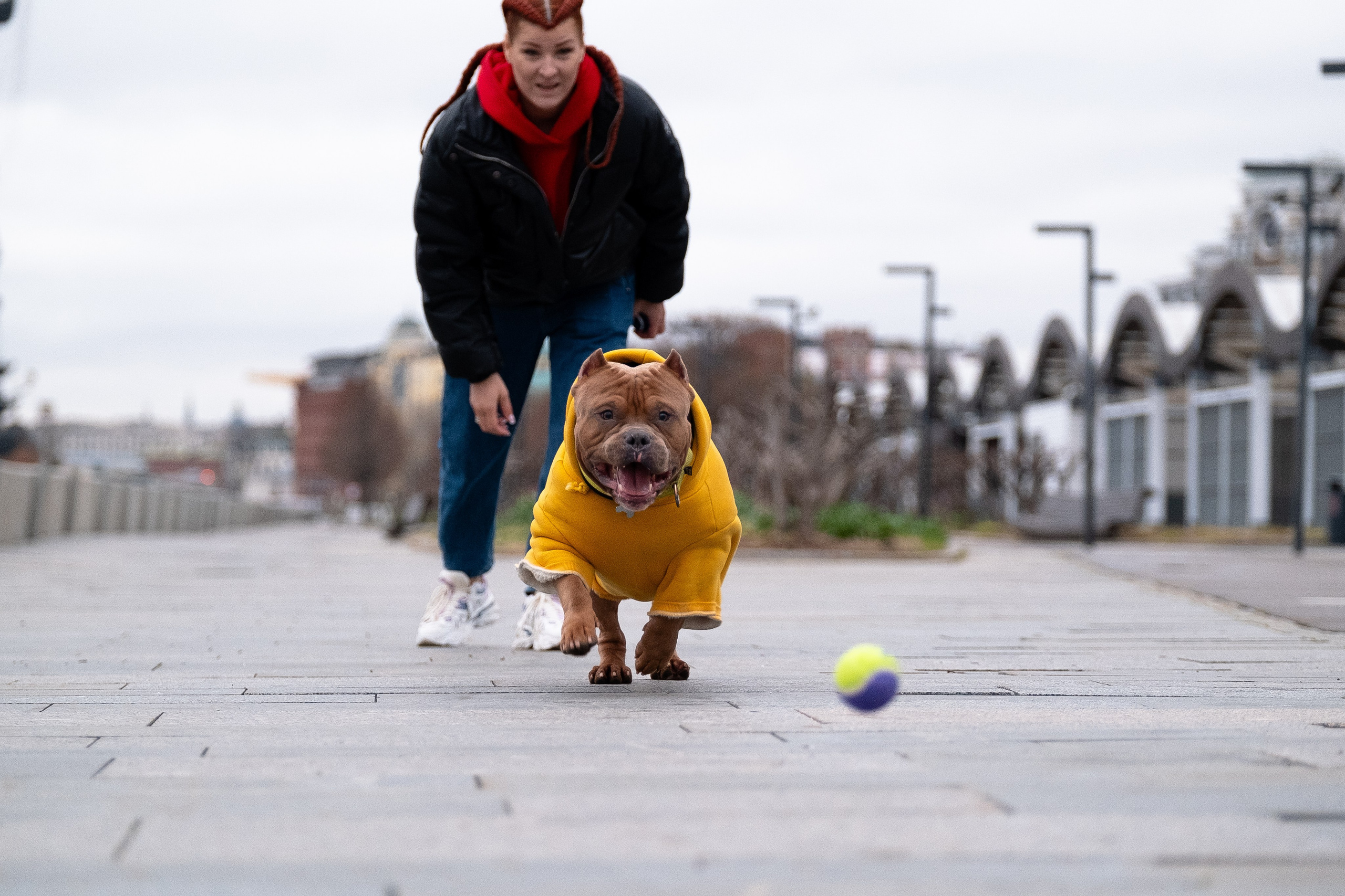 Спай и его семья. Фотограф и видеограф анималист Аганина Дарья